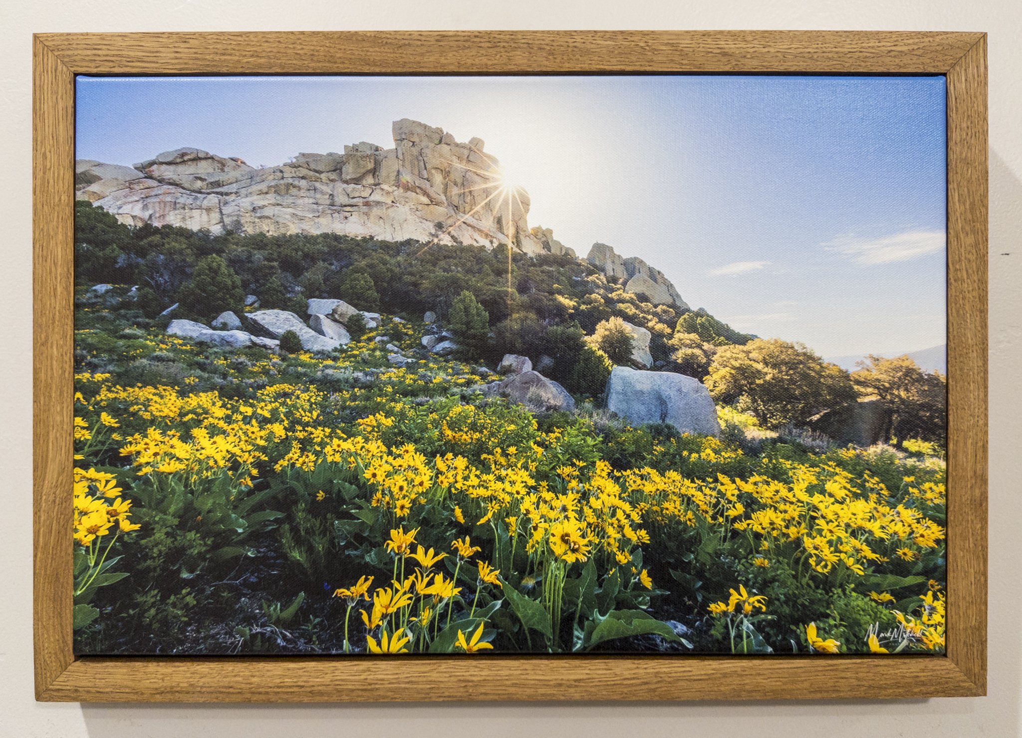 APC_2533-hdr.jpg (Copy)