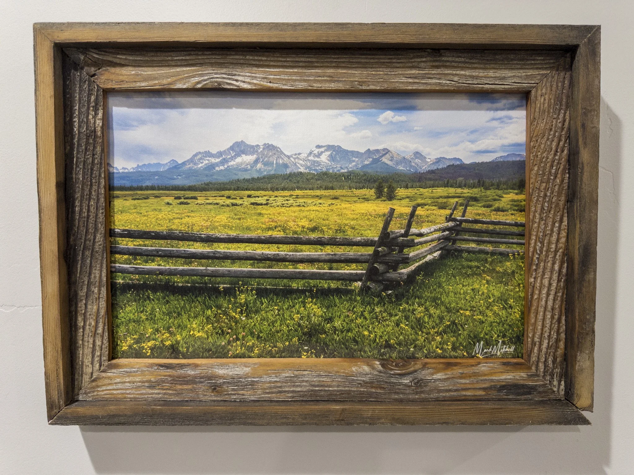 Yellow wildflowers in Stanley | Southern Idaho Landscape Fine Art Print