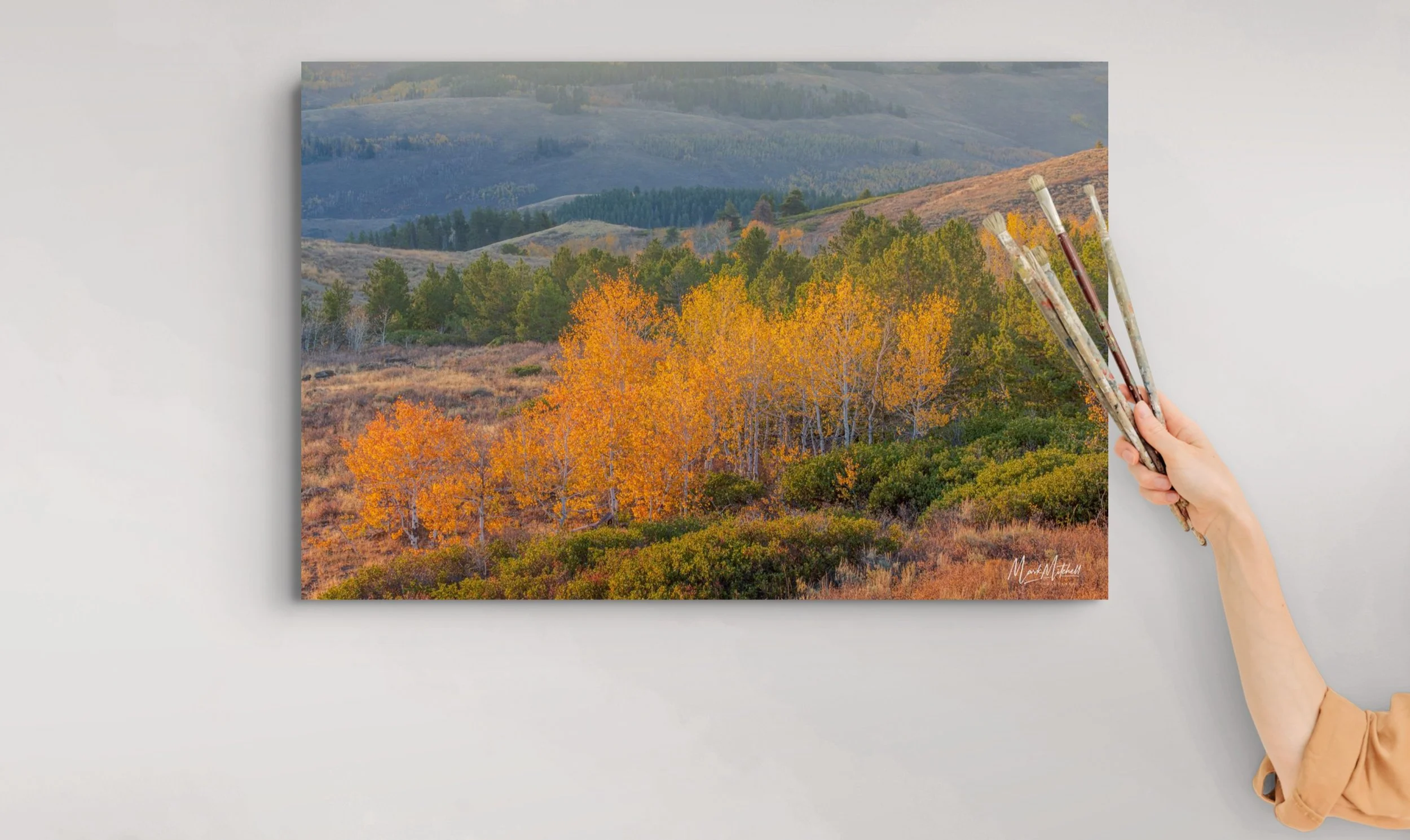 Pines and Aspens in the South Hills_8-full.jpg