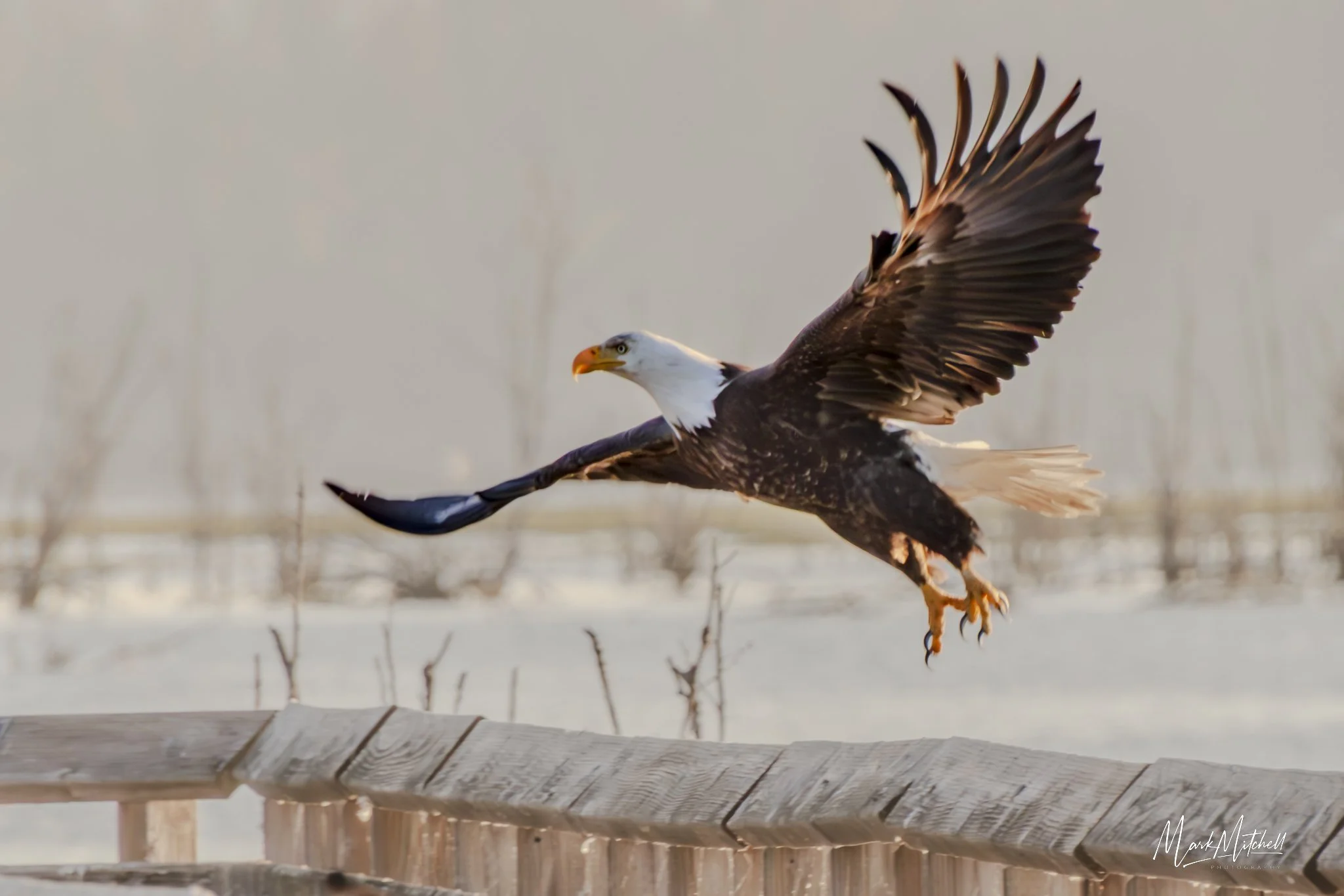 Take-Off