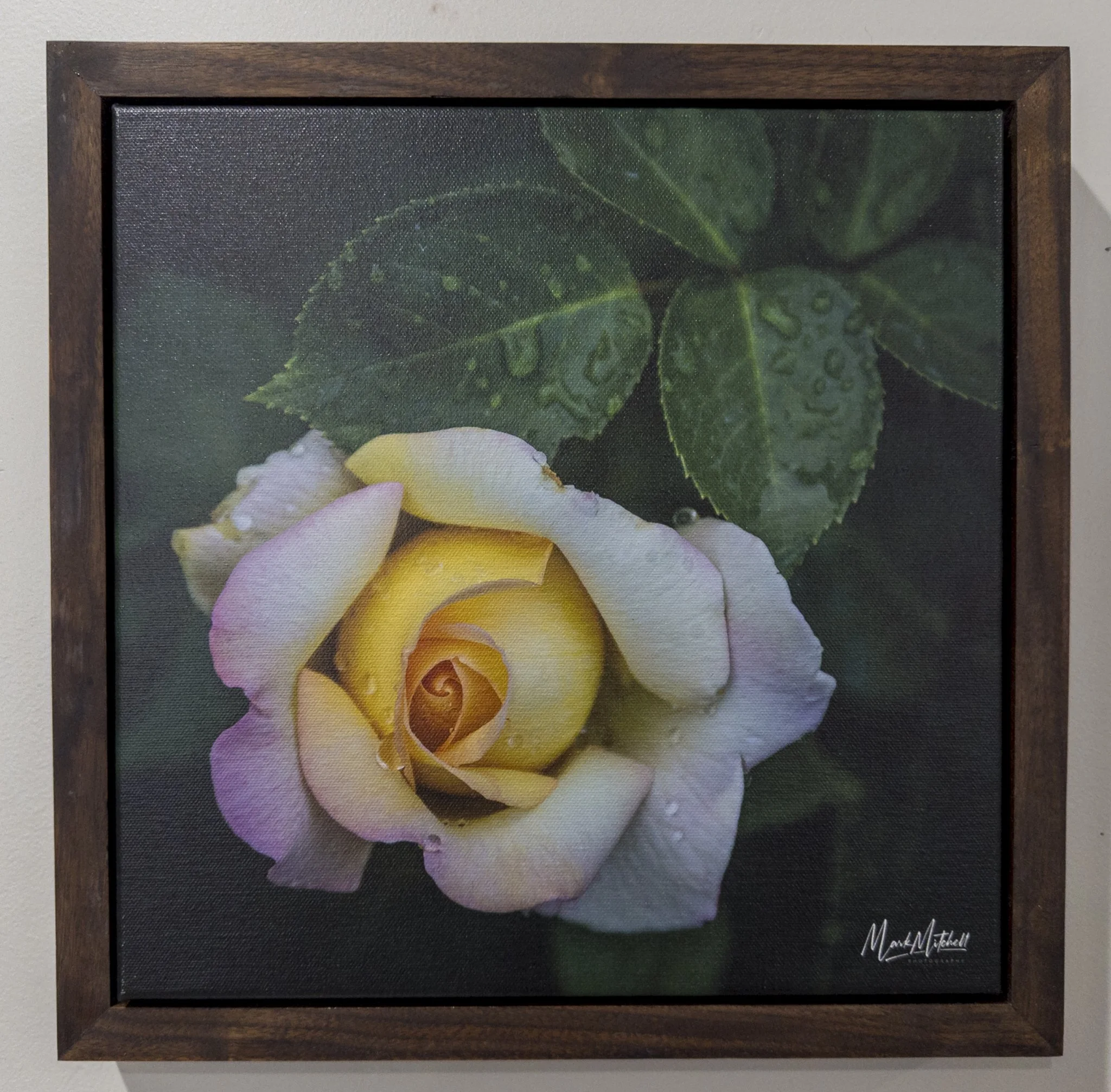 APC_2374-hdr.jpg (Copy)