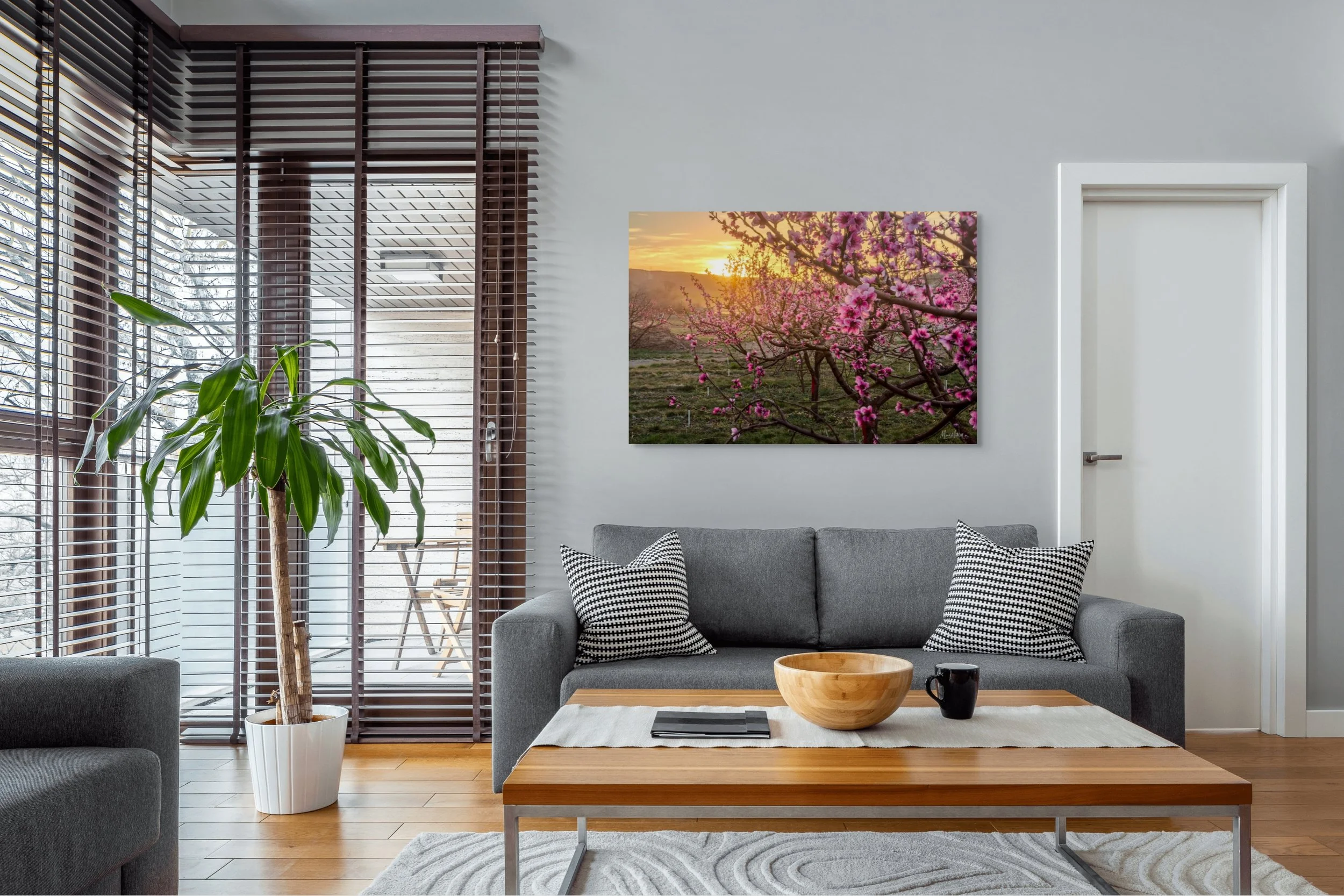 peach orchard in bloom-full (1).jpg