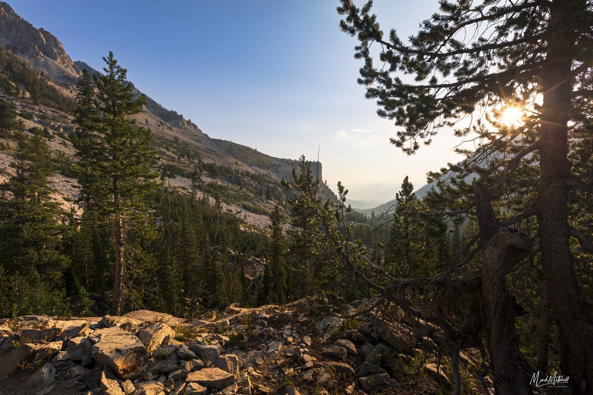 Alice Lake Trail View