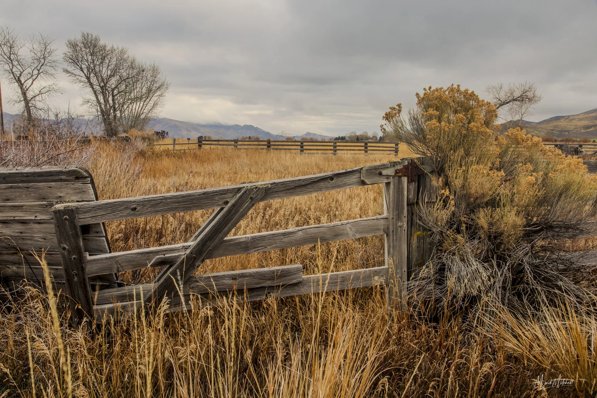Rustic Wooden Fence
