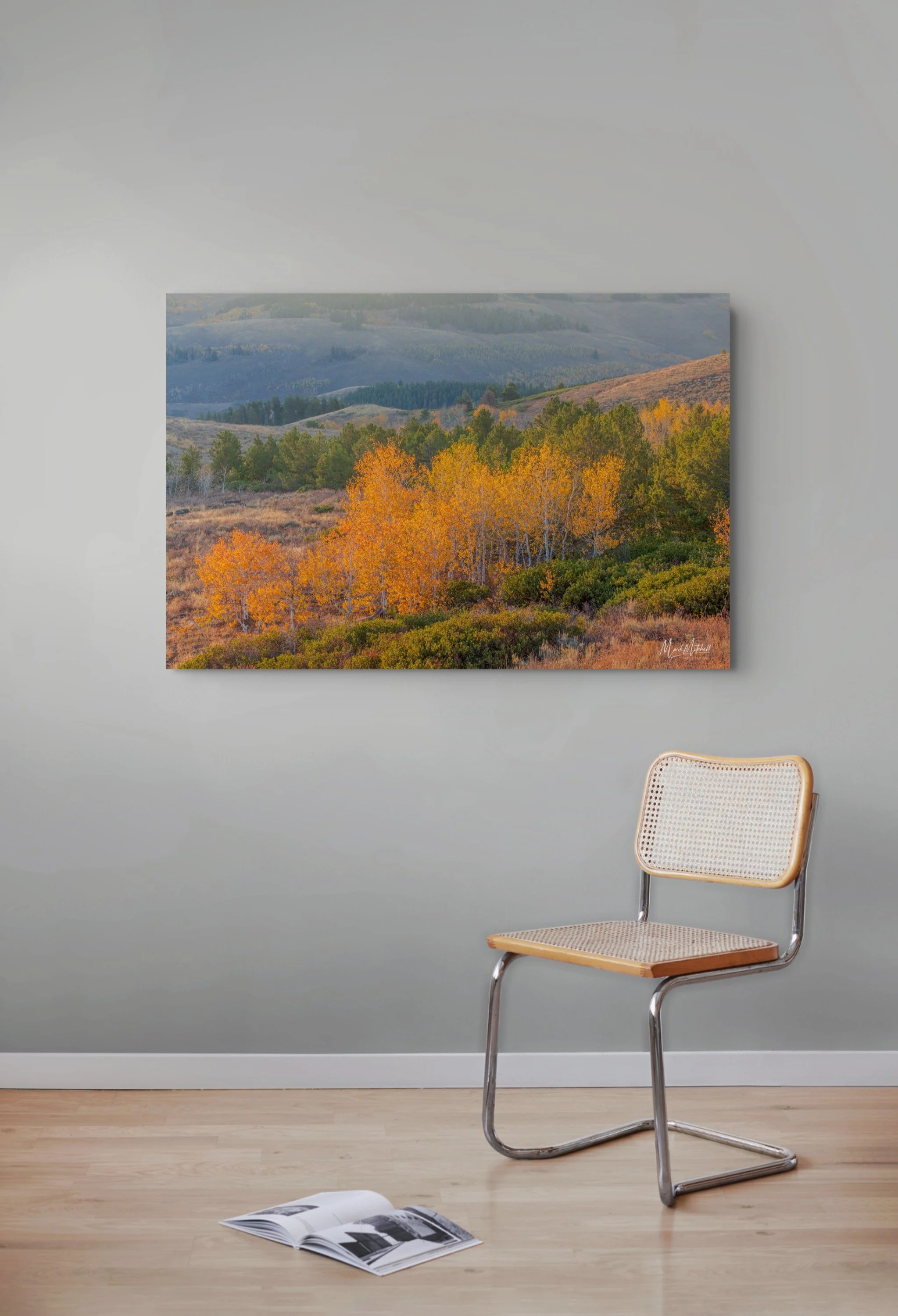 Pines and Aspens in the South Hills_11-full.jpg