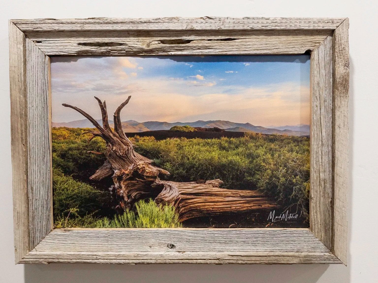 20250802-APC_1878.jpg (Copy)