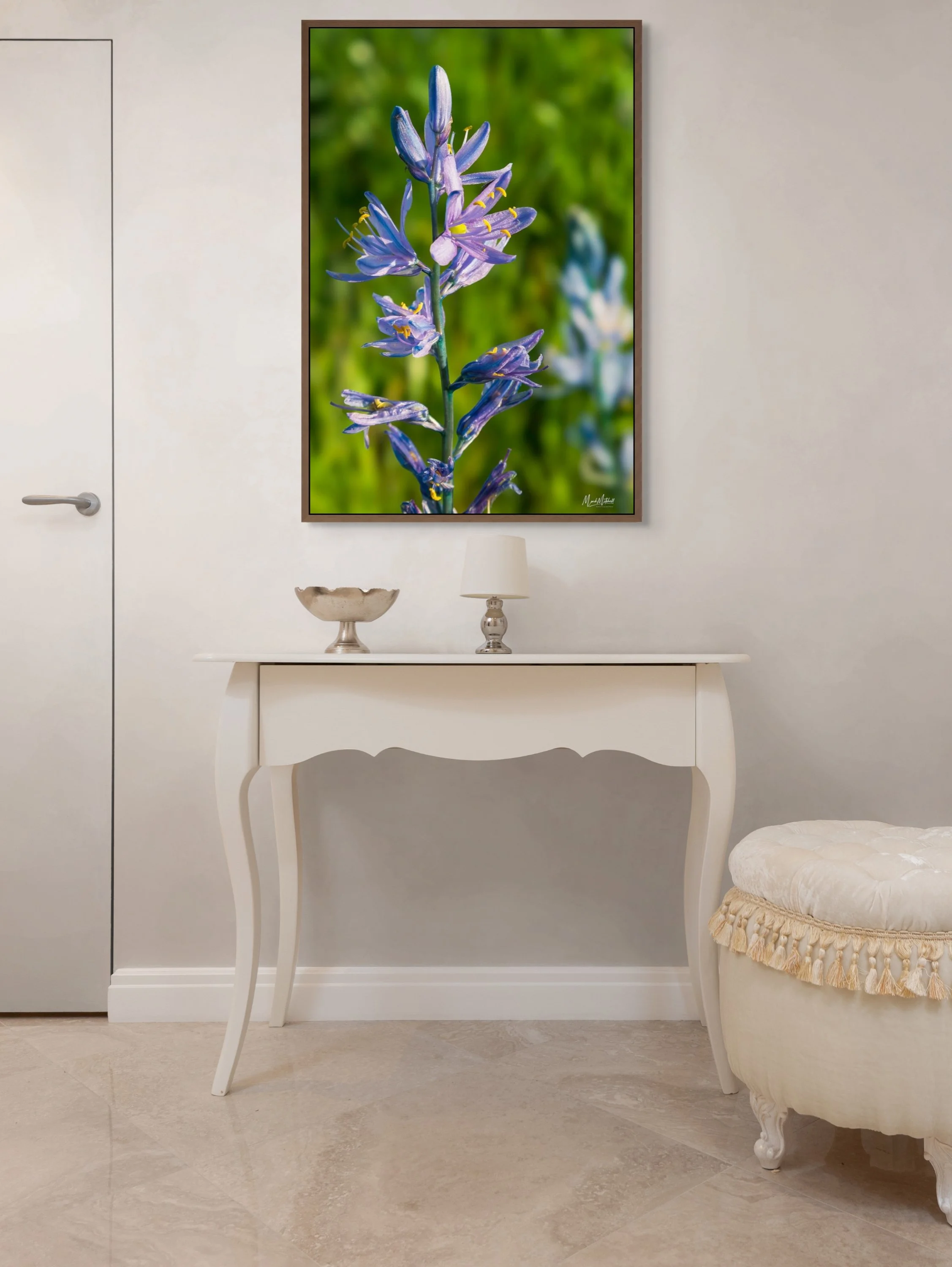 camas_lily_in_bloom (1).jpg