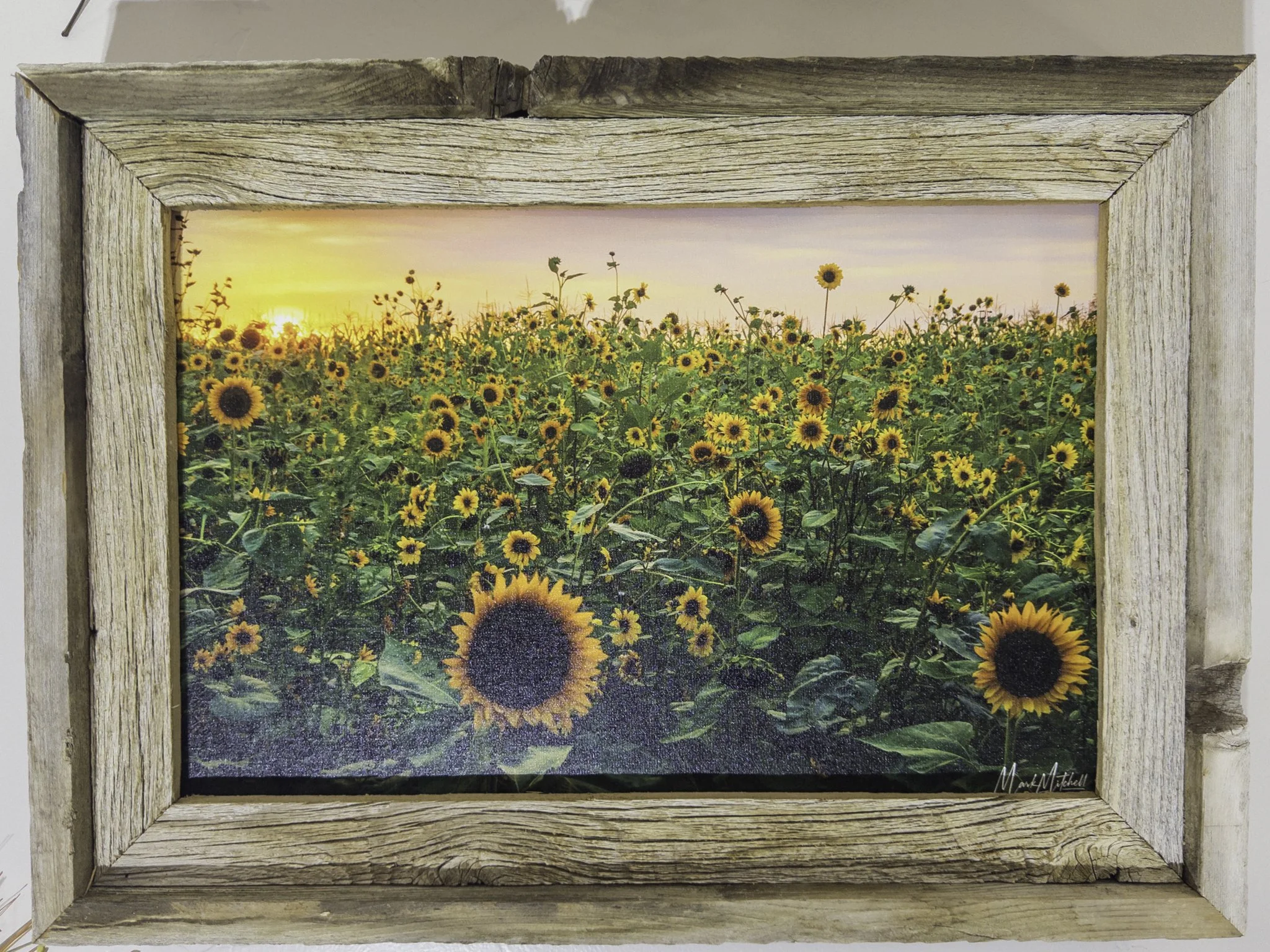 20251126-APC_2062-hdr.jpg (Copy)