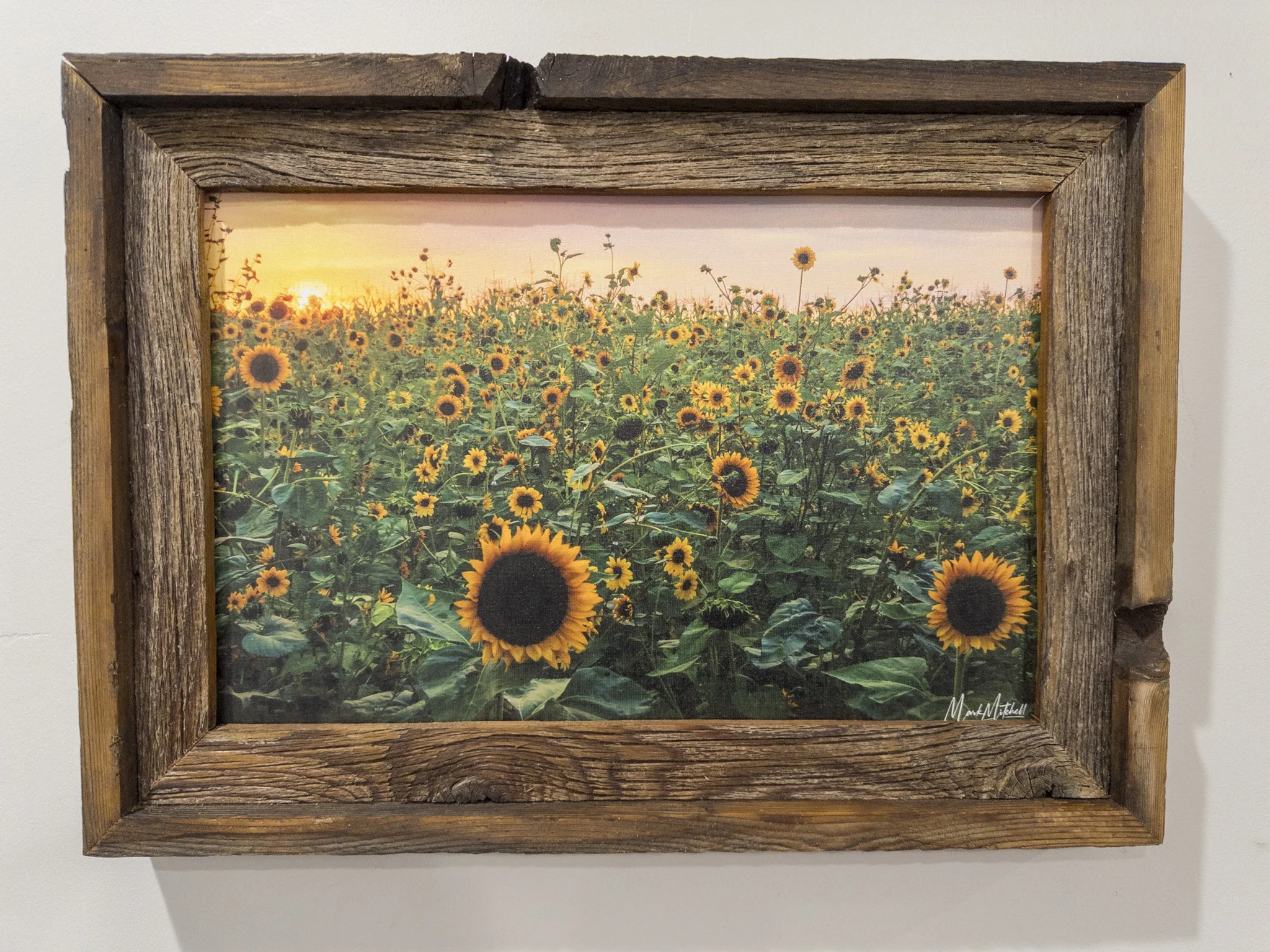 Sunflowers | Southern Idaho Landscape Fine Art Print