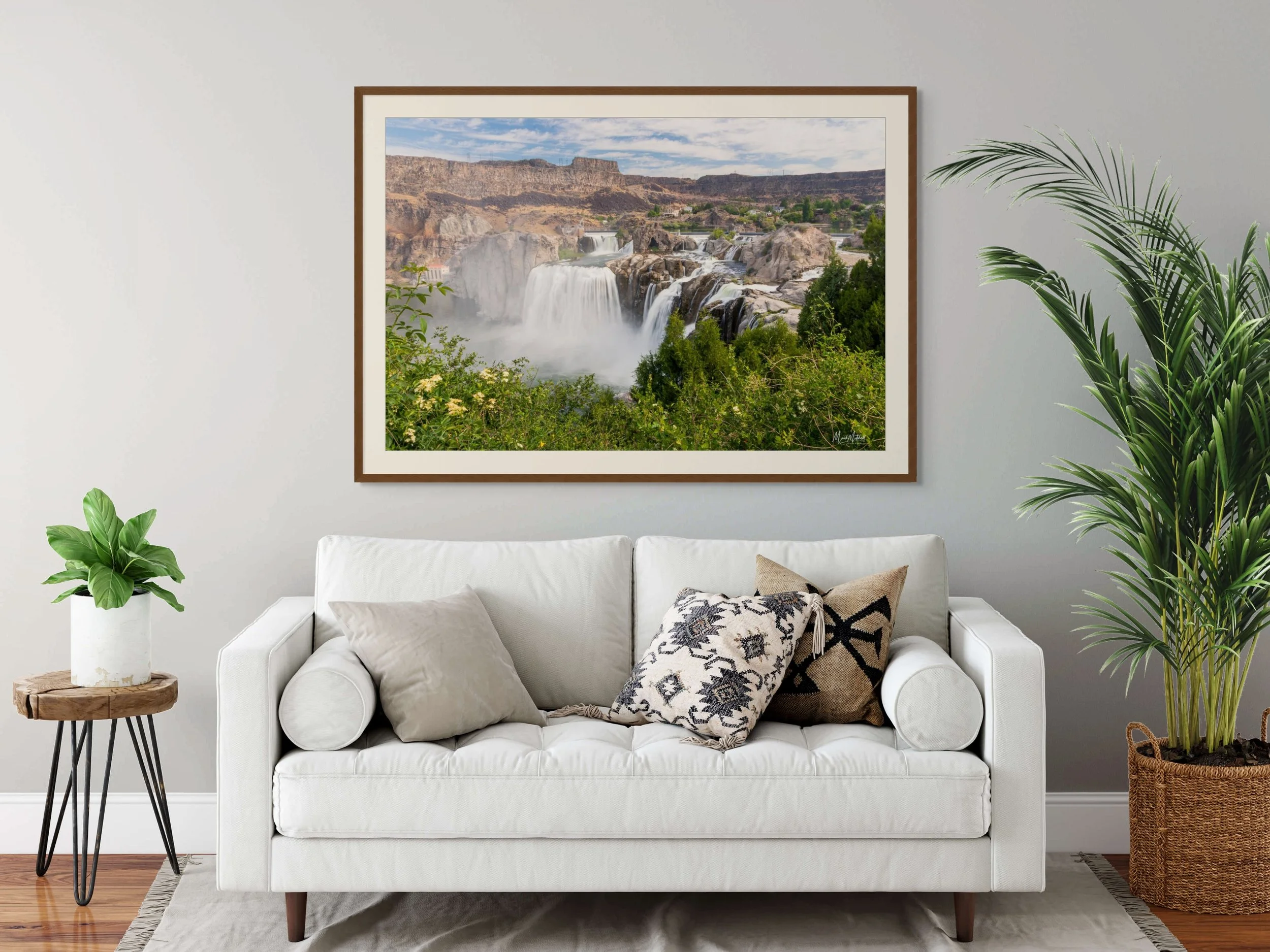 shoshone_falls_in_june (2).jpg