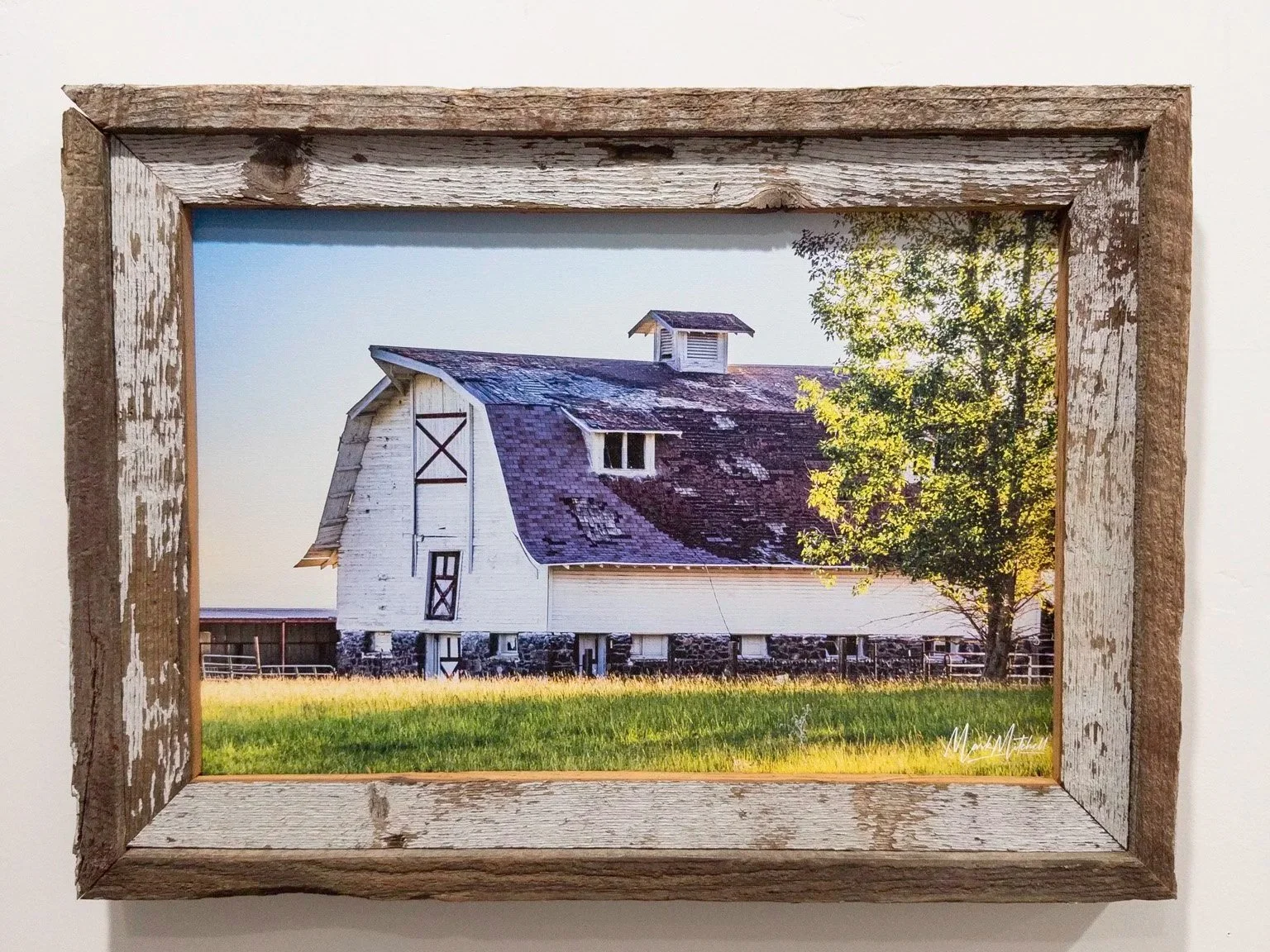 20250816-APC_1928.jpg (Copy)