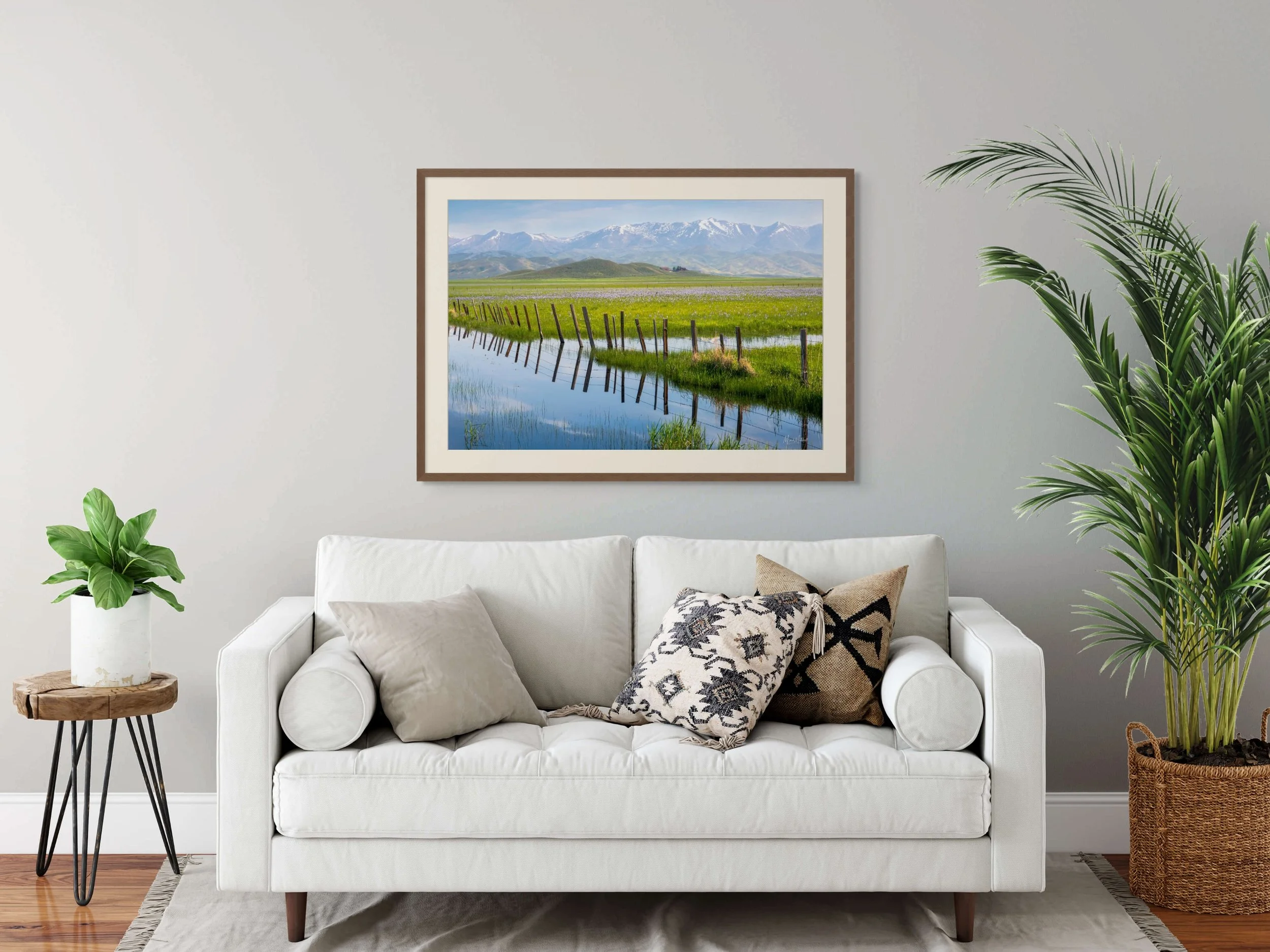 camas lily bloom-full.jpg