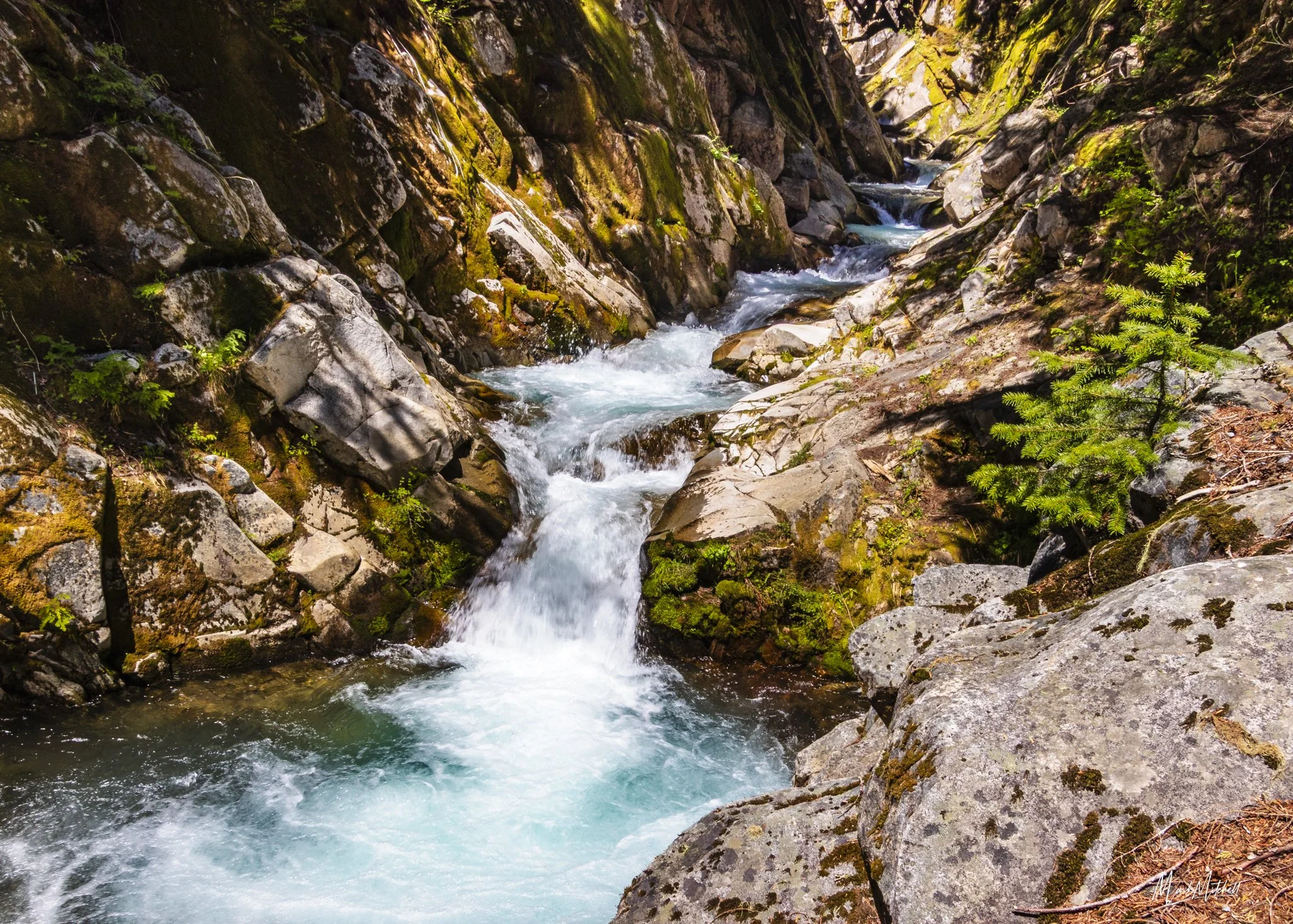 Terraced Pools along the hike to Comet Falls | Mount Rainier, Washington