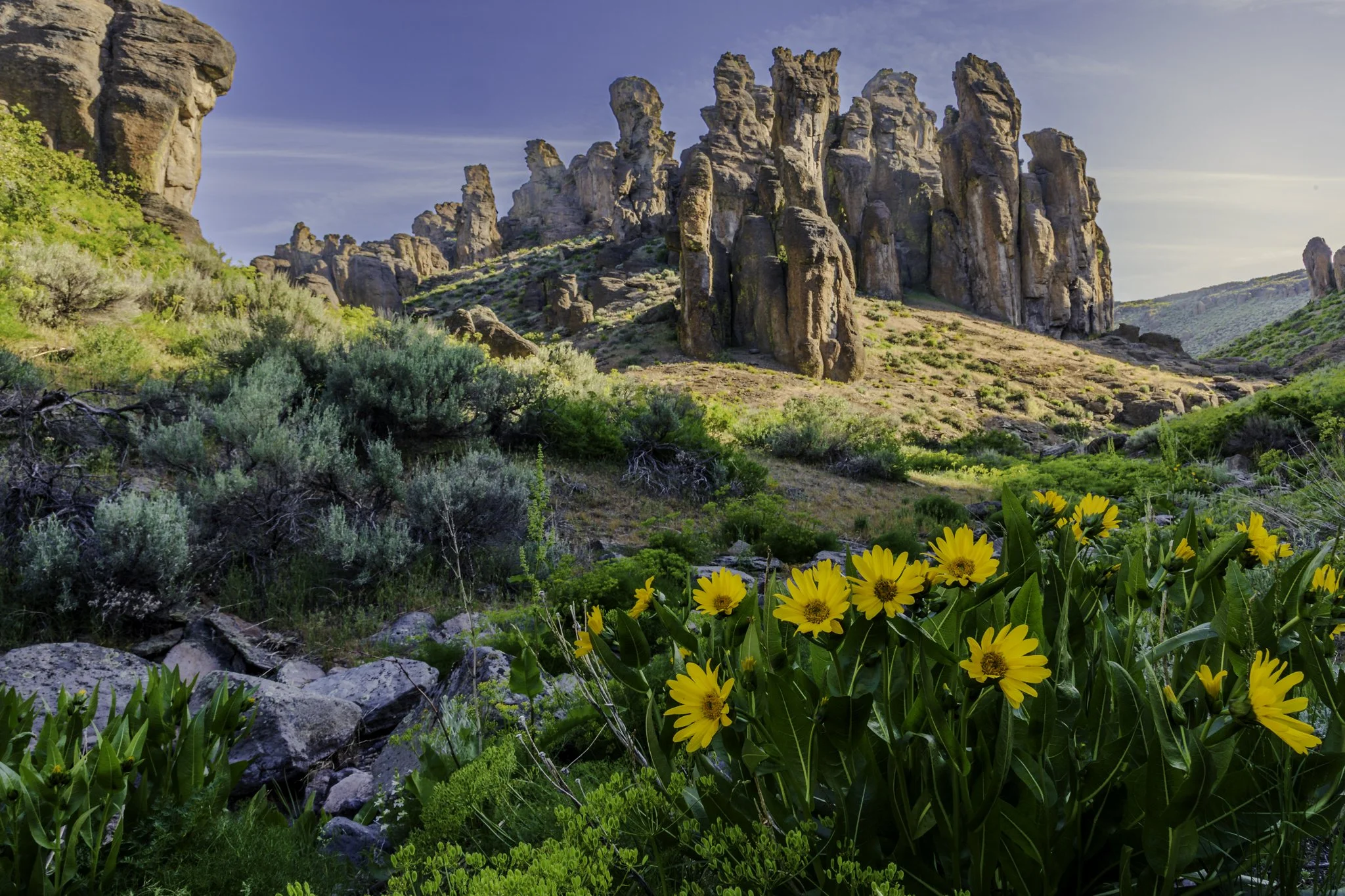 Rock Formations and Arrowleaf Balsamroot at Little City of Rocks near Gooding Idaho