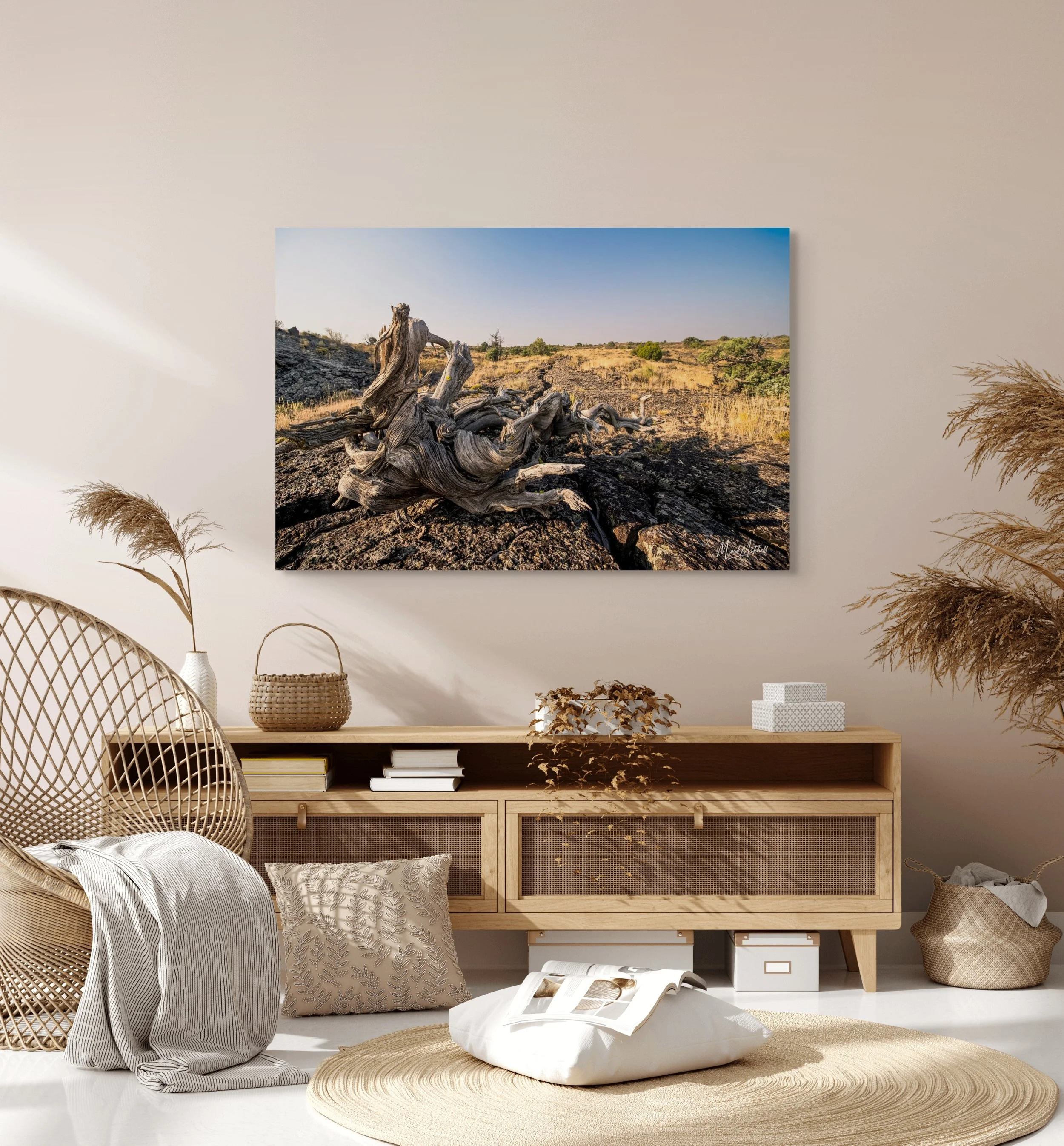gnarly_juniper_at_hell_s_half_acre (1).jpg