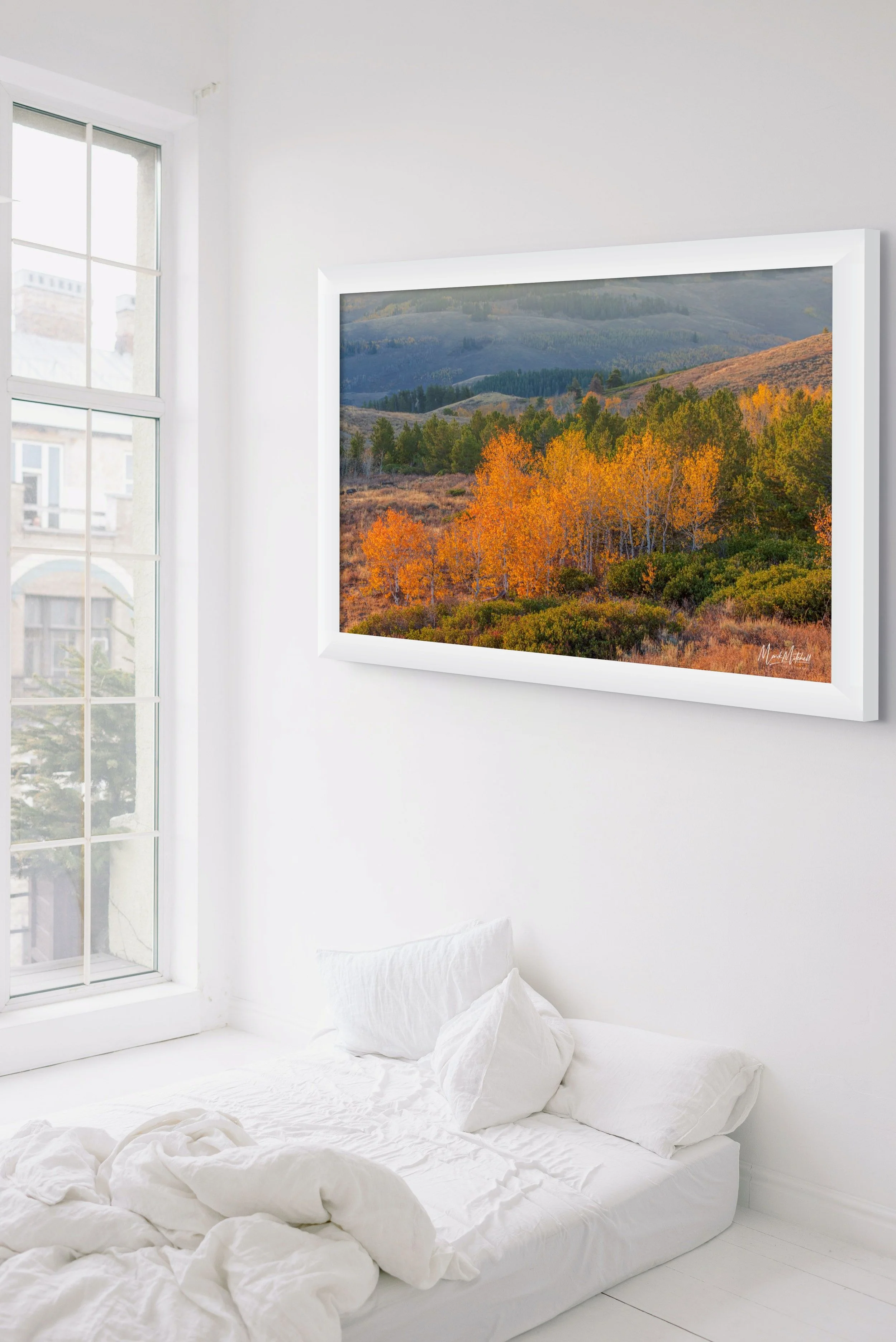 Pines and Aspens in the South Hills_5-full.jpg