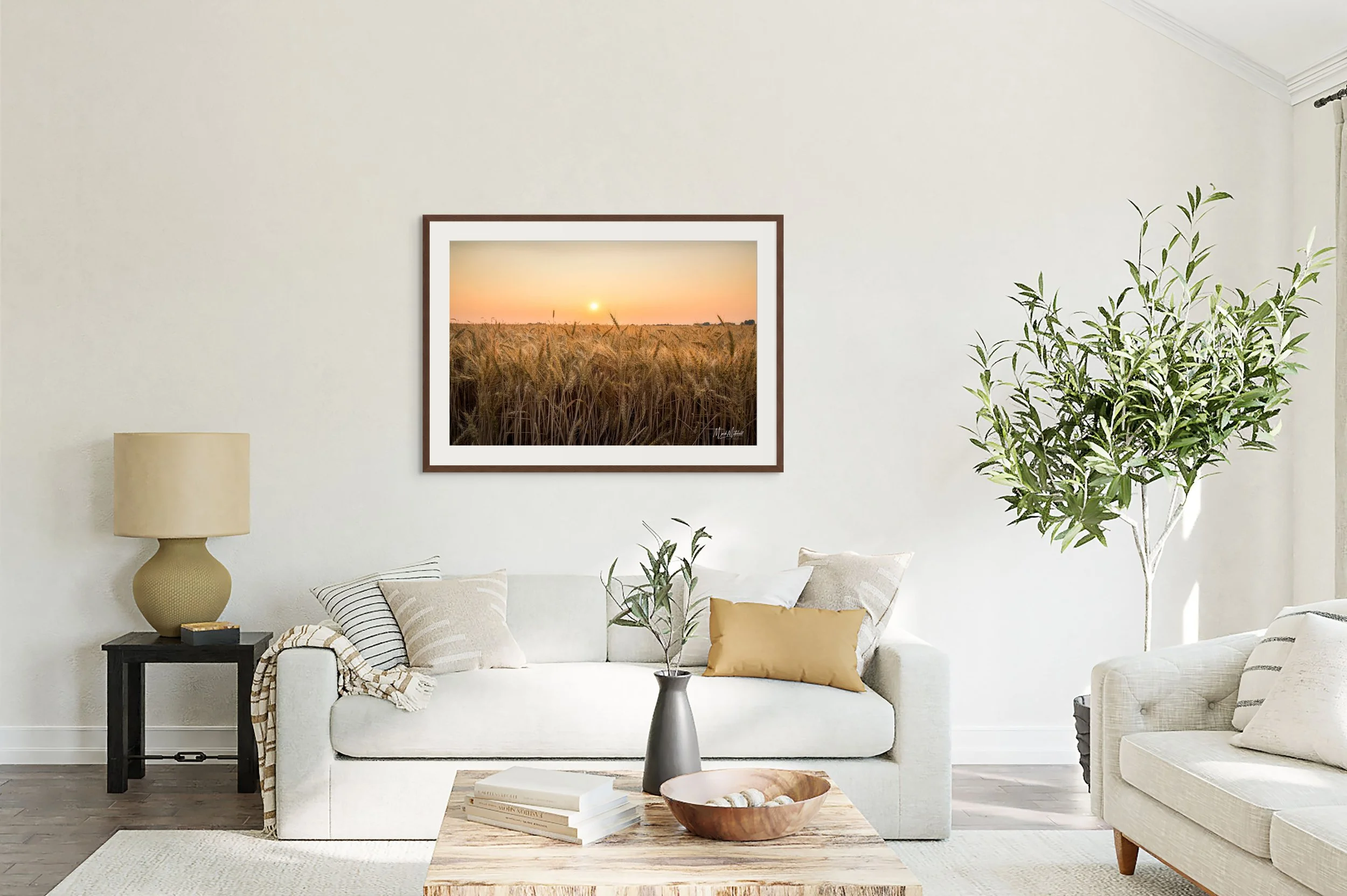 wheatfield sunset-full (1).jpg