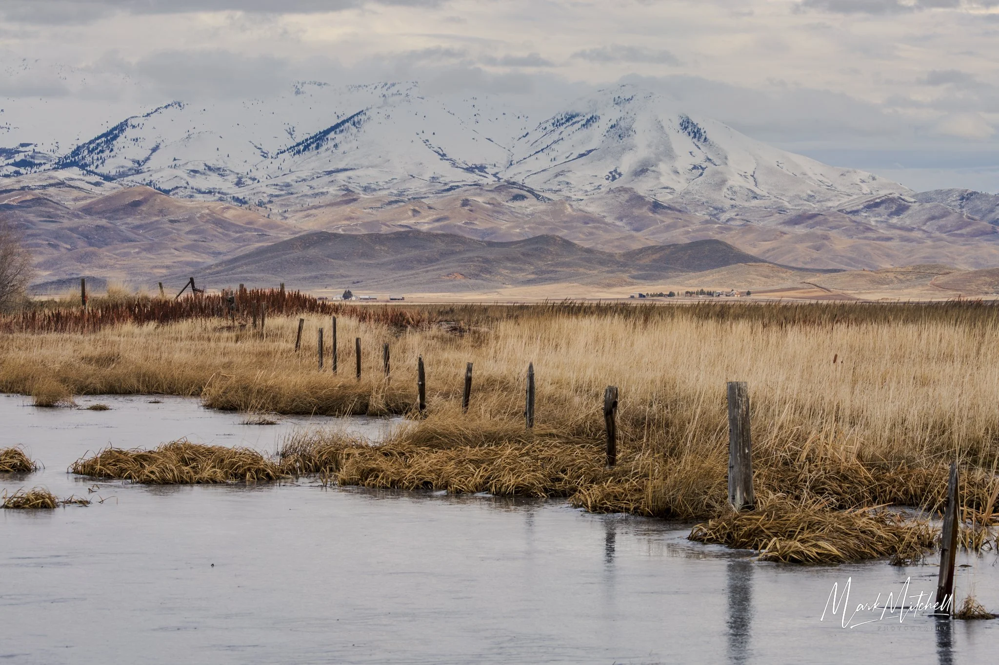 Frozen Camas Prairie Marsh | Southern Idaho Landscape Fine Art Print