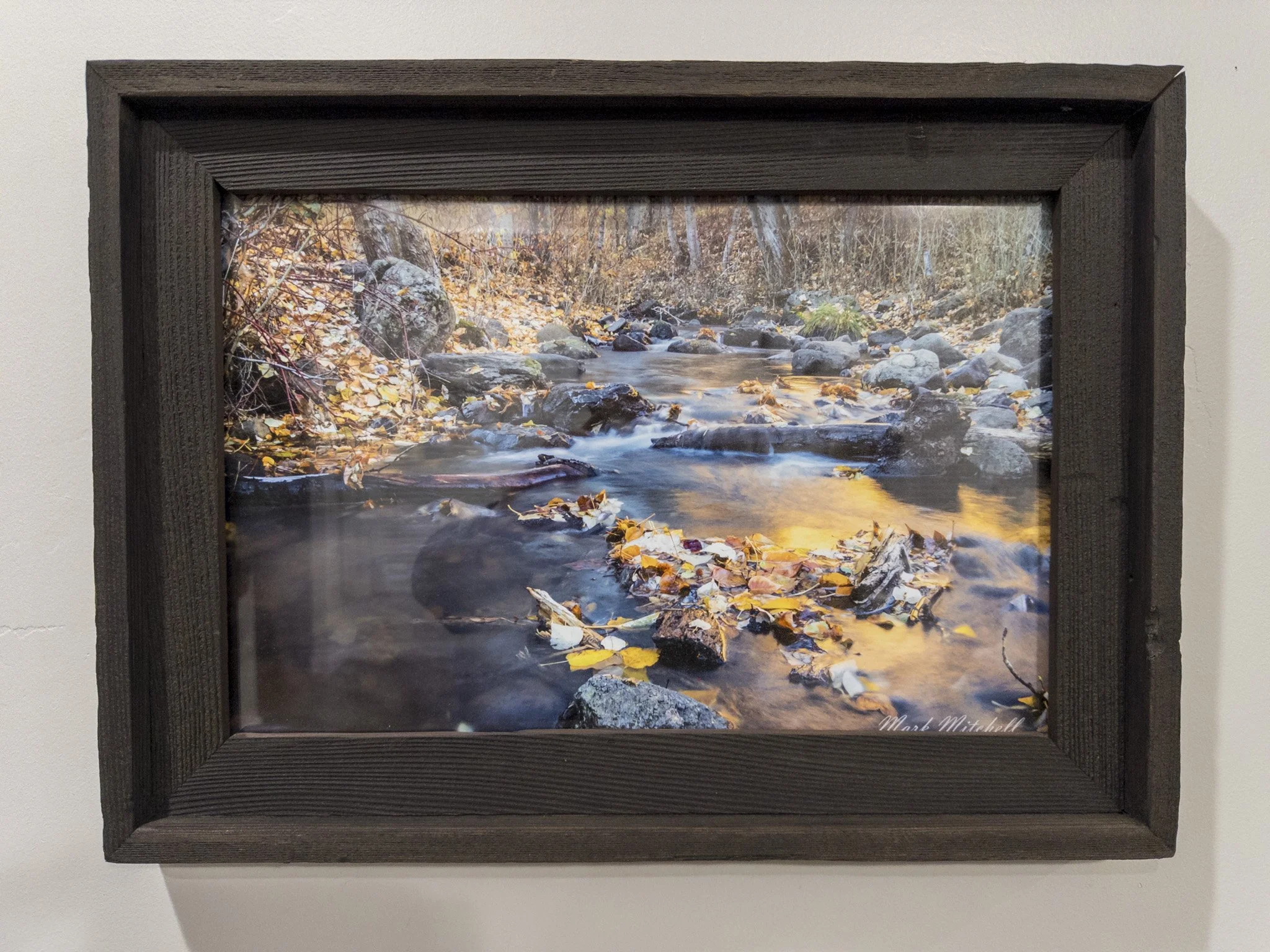 Rock Creek Fall Leaves | Southern Idaho Landscape Fine Art Print