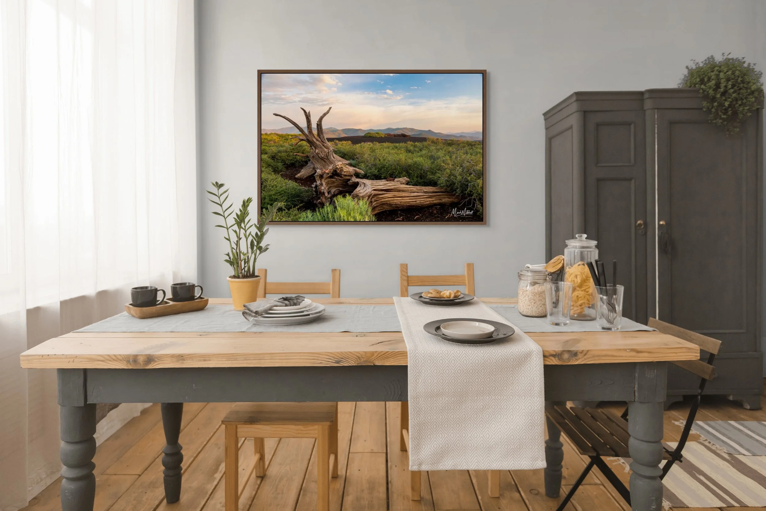 weathered fallen tree at inferno cone-full (5).jpg