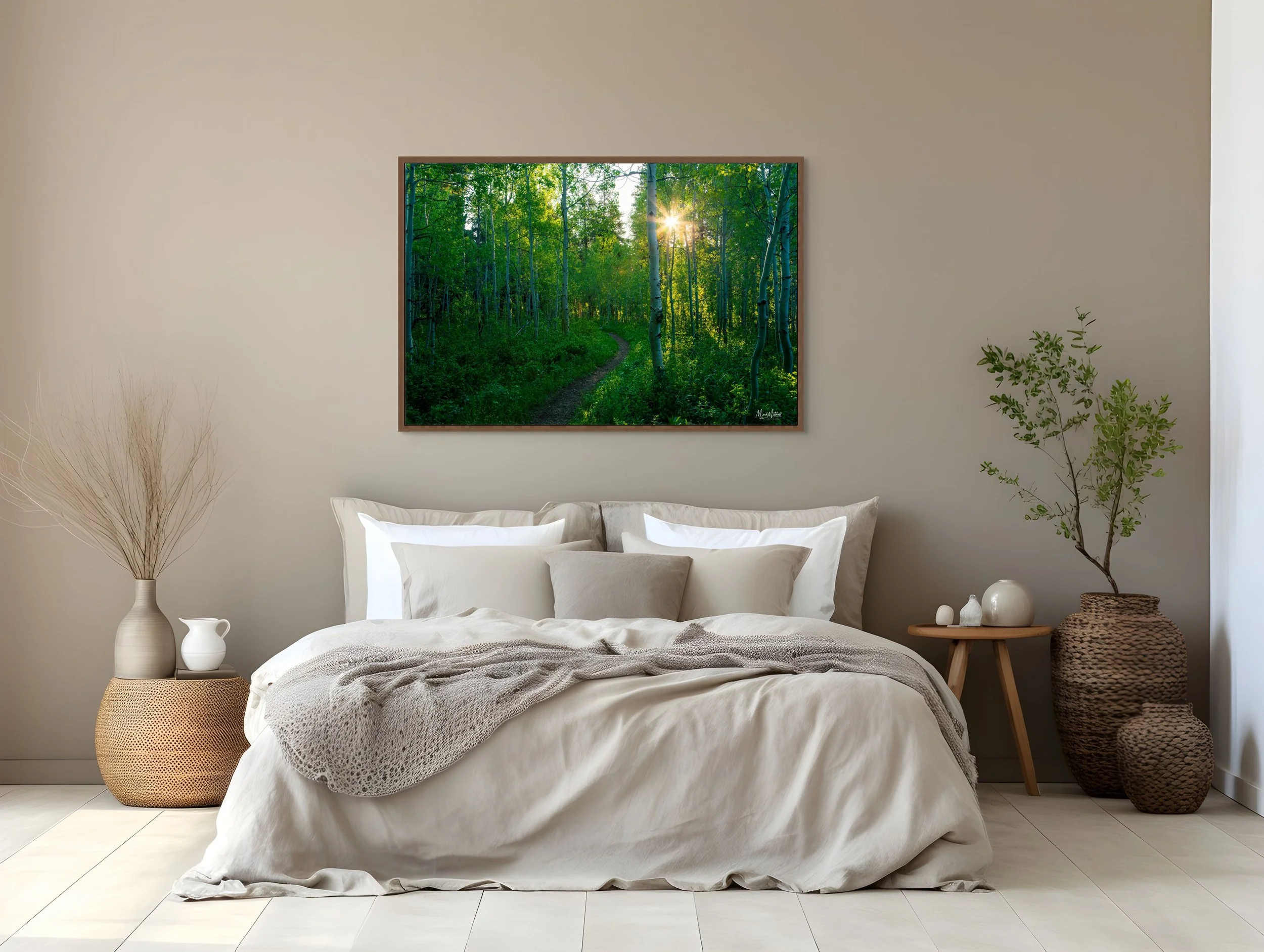 spring_aspens (1).jpg