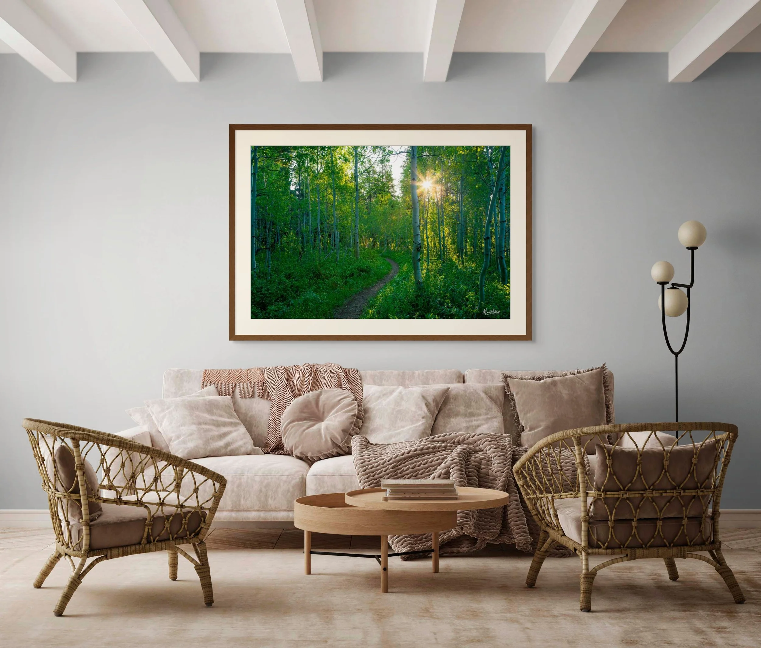 spring_aspens (3).jpg