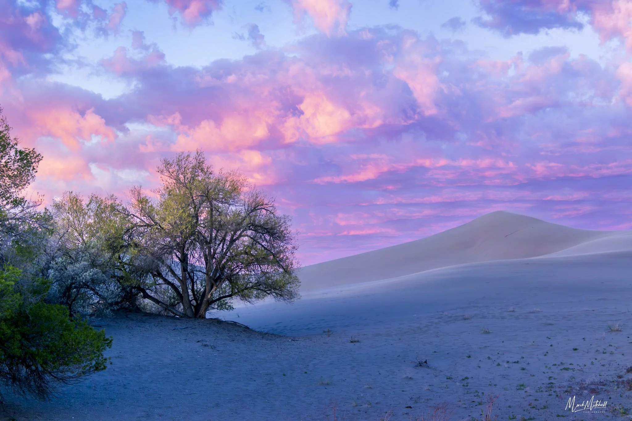Cotton Candy clouds over Bruneau Dunes | Mountain Home, Idaho