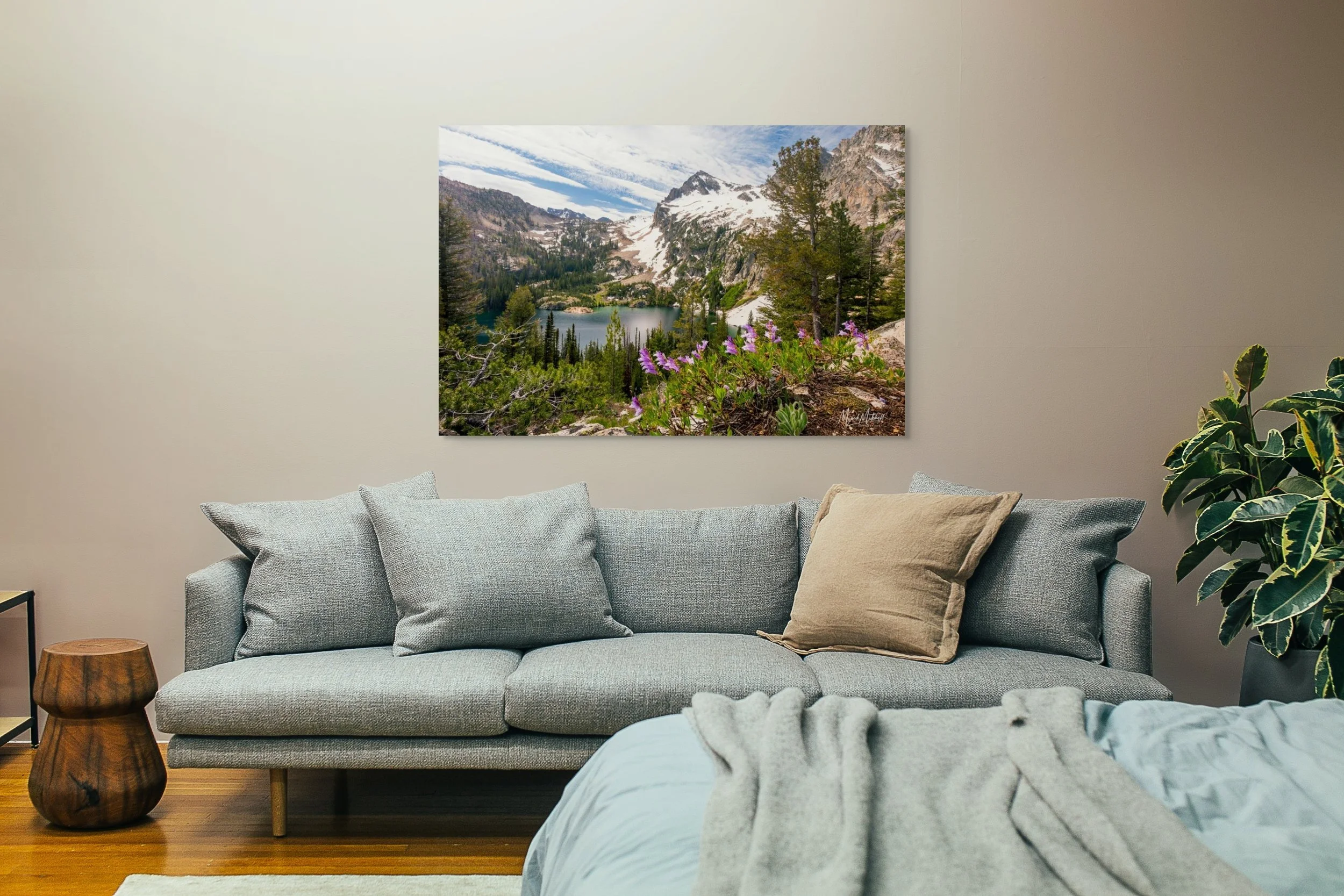 alpine lake view-full (5).jpg