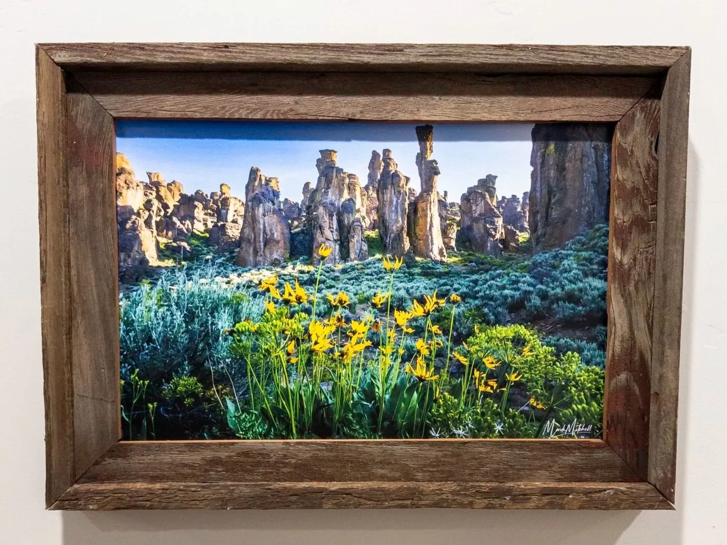 20250820-APC_1970.jpg (Copy)