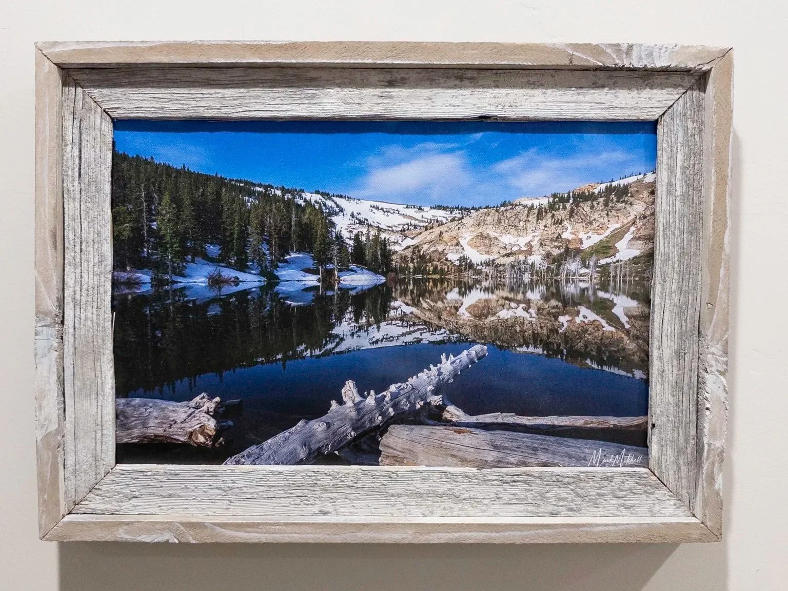 20250802-APC_1904.jpg (Copy)