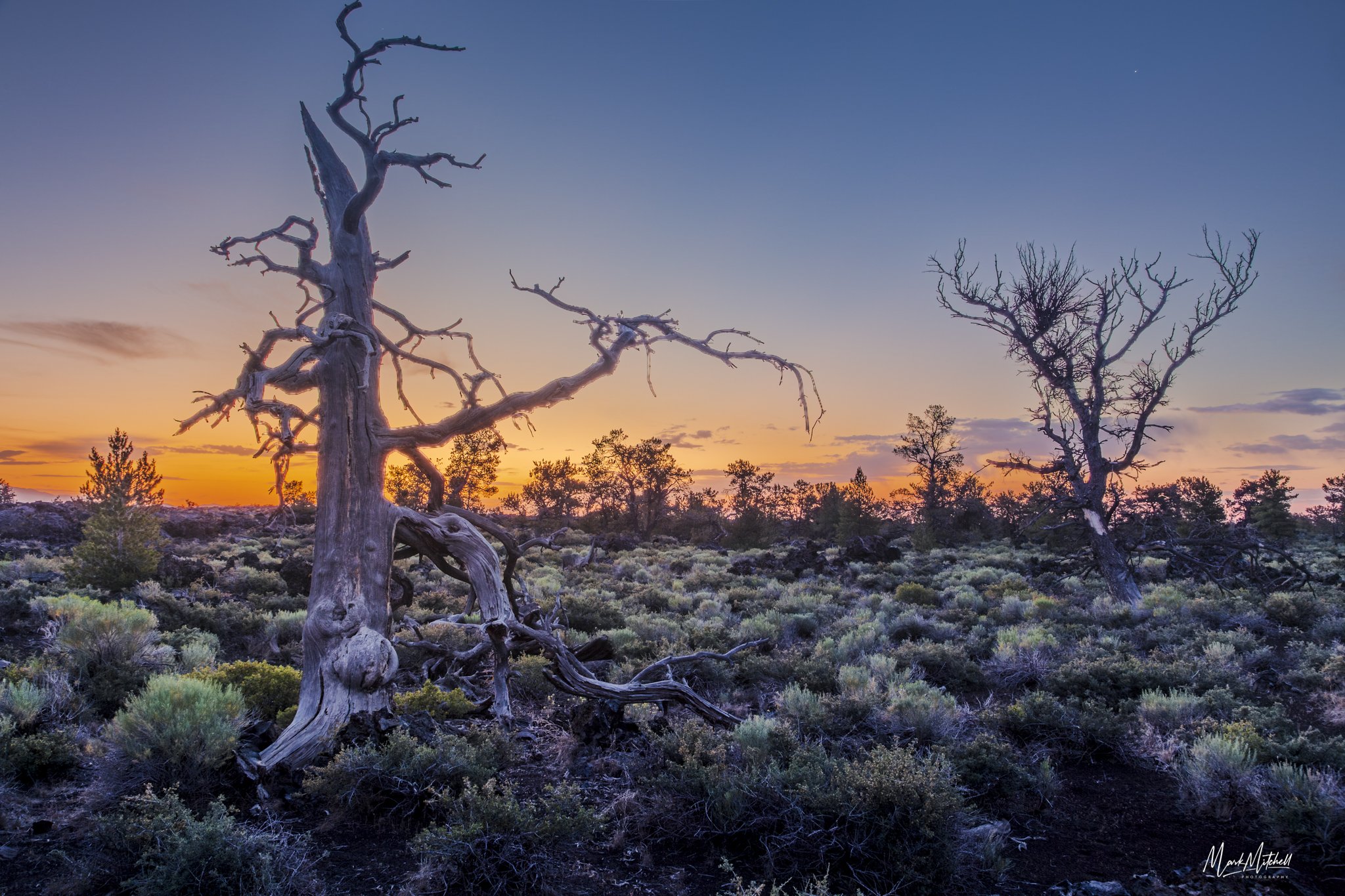 Devil's Orchard at Craters of the Moon | Arco, Idaho