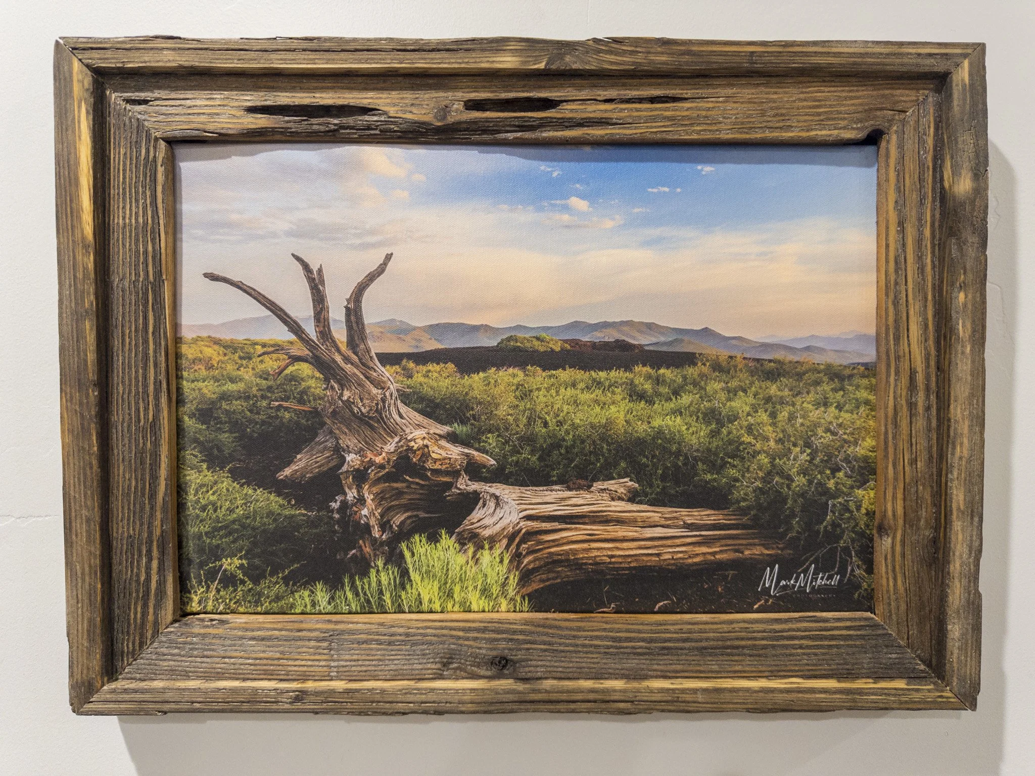 Weathered Fallen Tree at Inferno Cone  | Southern Idaho Landscape Fine Art Print