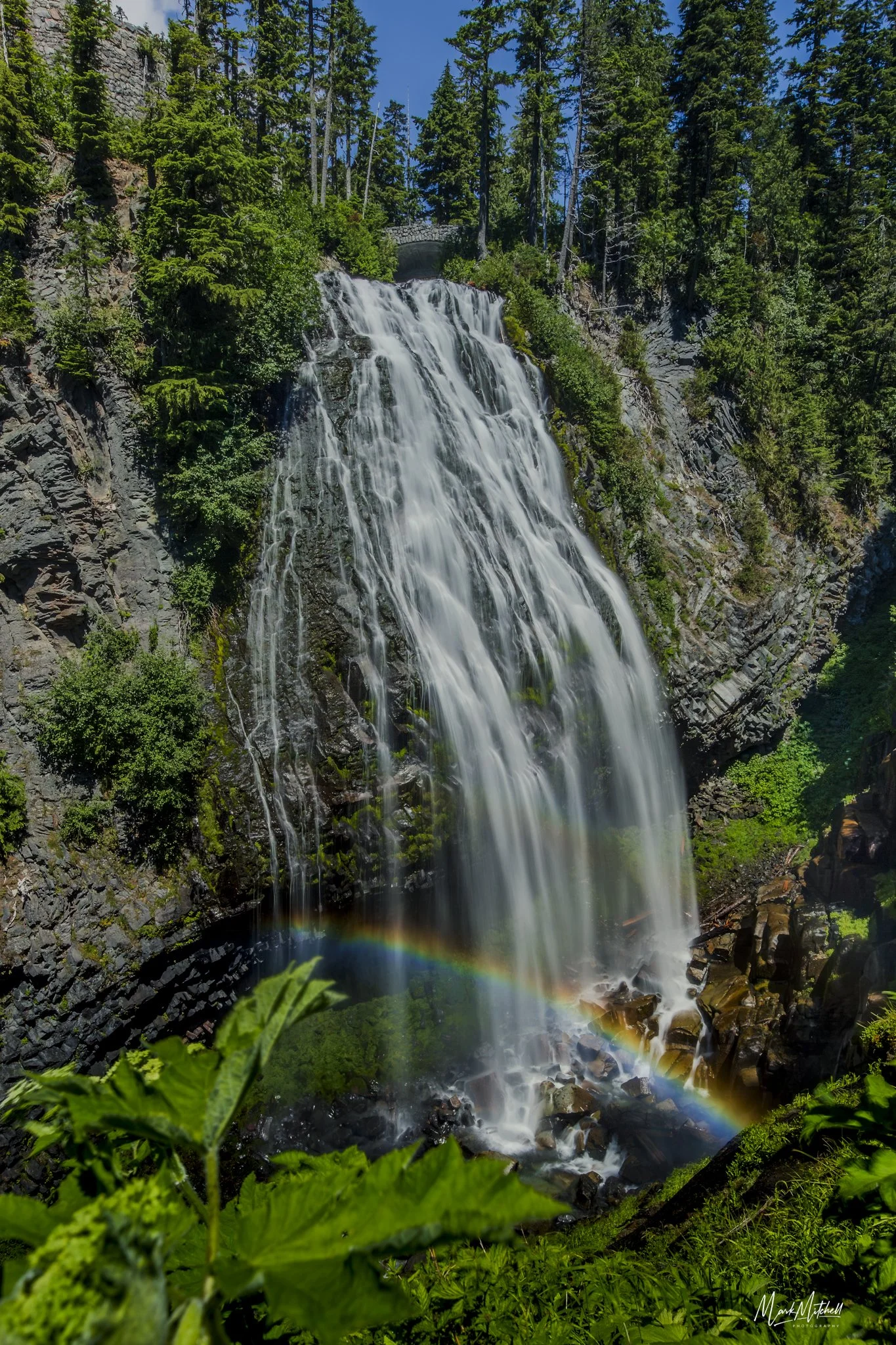Narada Falls, Mount Rainier | Washington