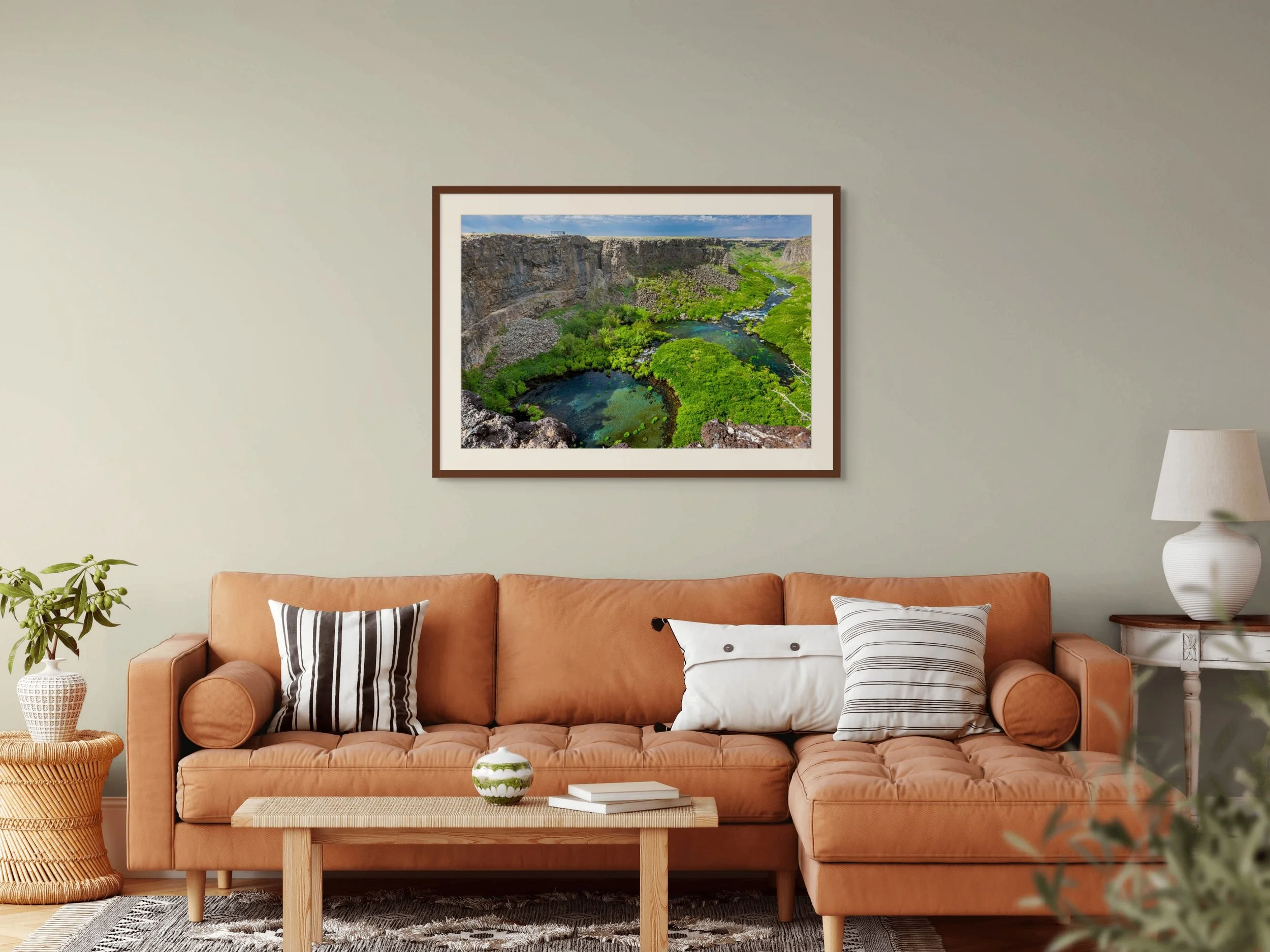 box canyon springs in june-full.jpg