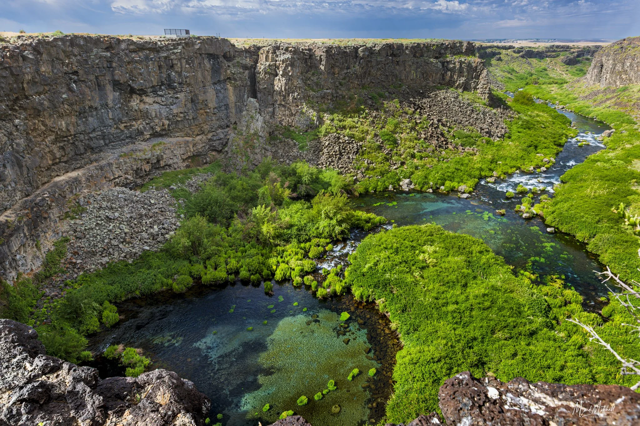Box Canyon Springs in June | Hagerman, Idaho