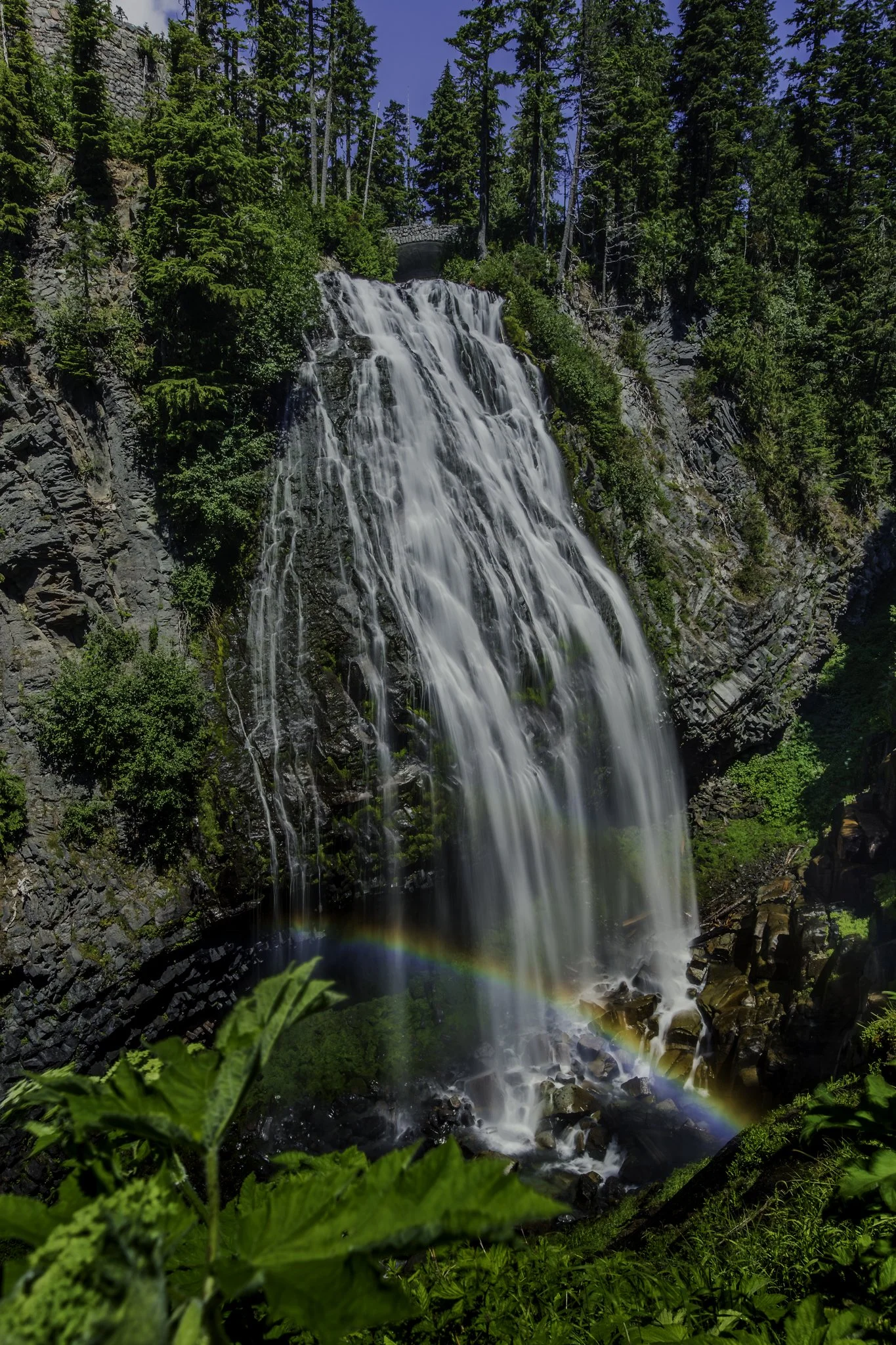 Narada Falls, Mount Rainier | Western Washington Landscape Fine Art Print
