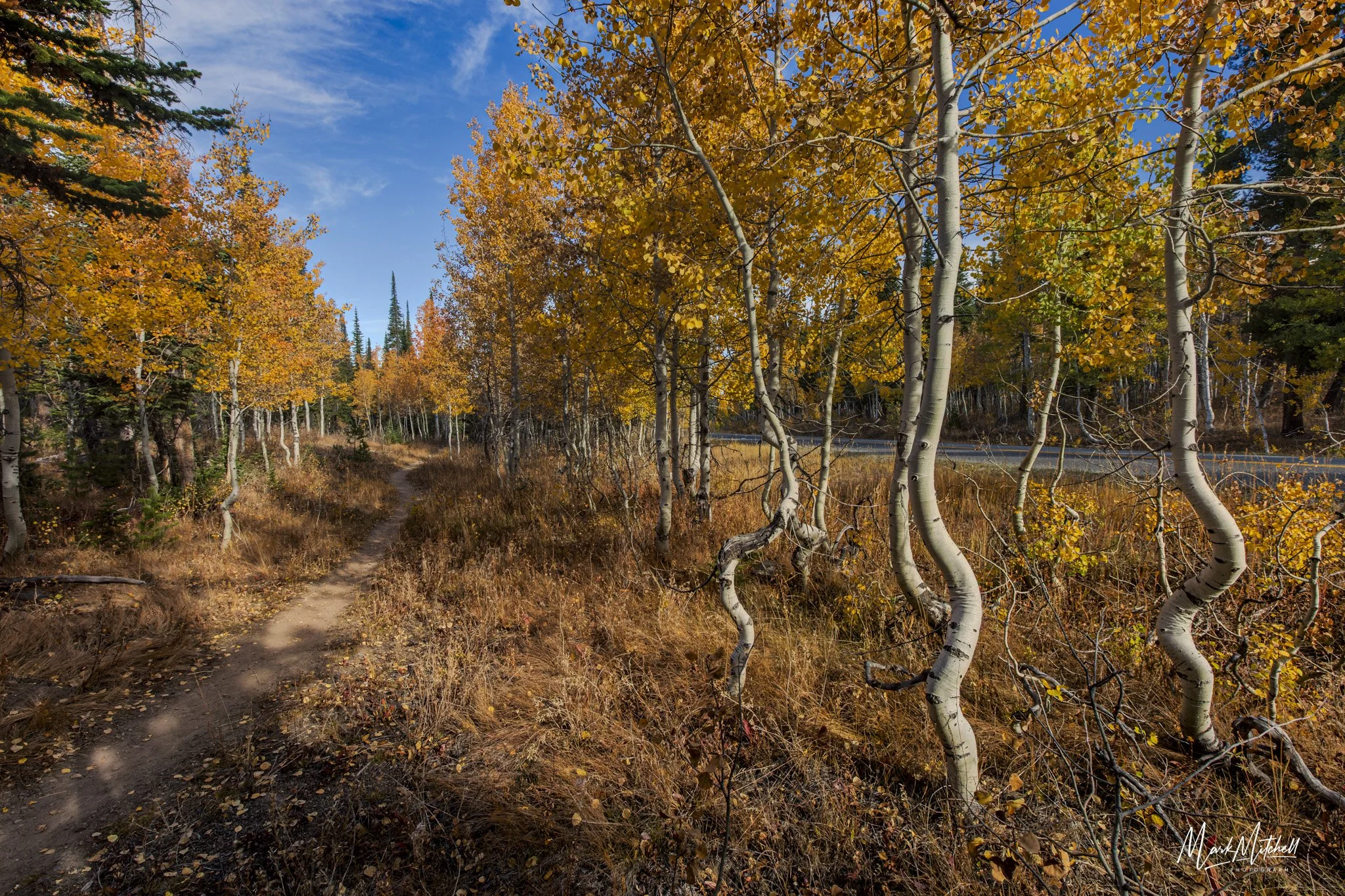 _Q9A2907-HDR.jpg