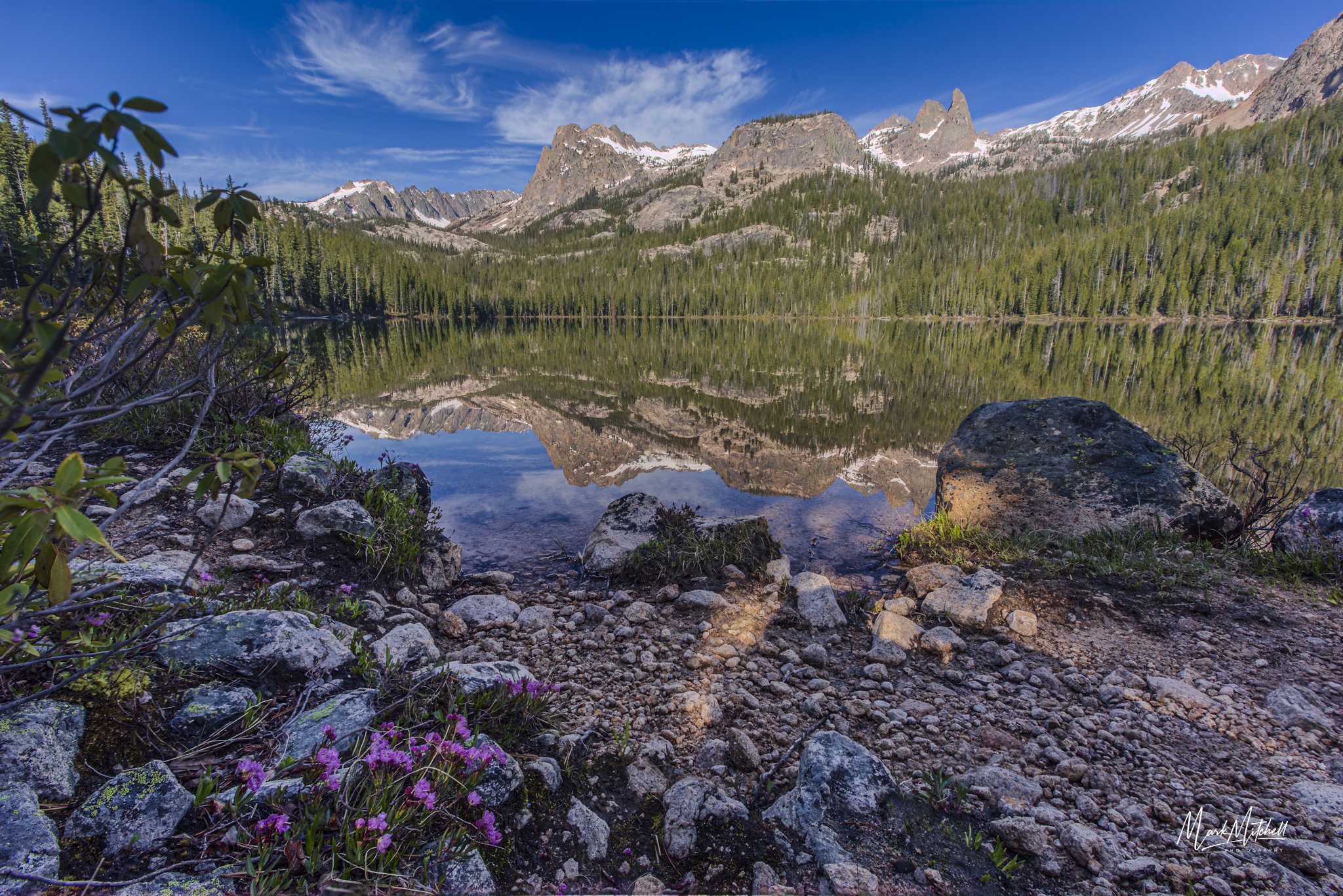 Wildflowers at Hell Roaring Lake