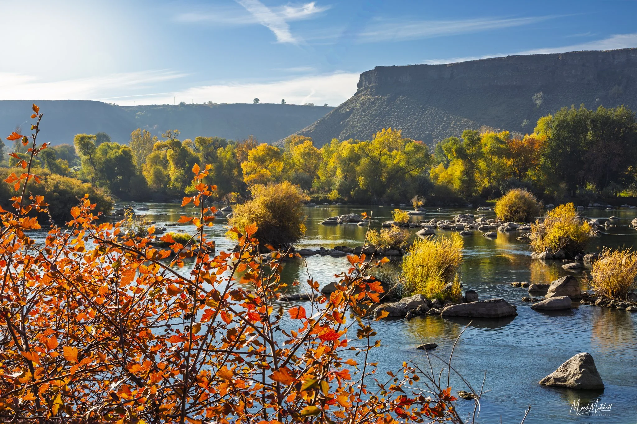 Autumn Along the Snake River.jpg
