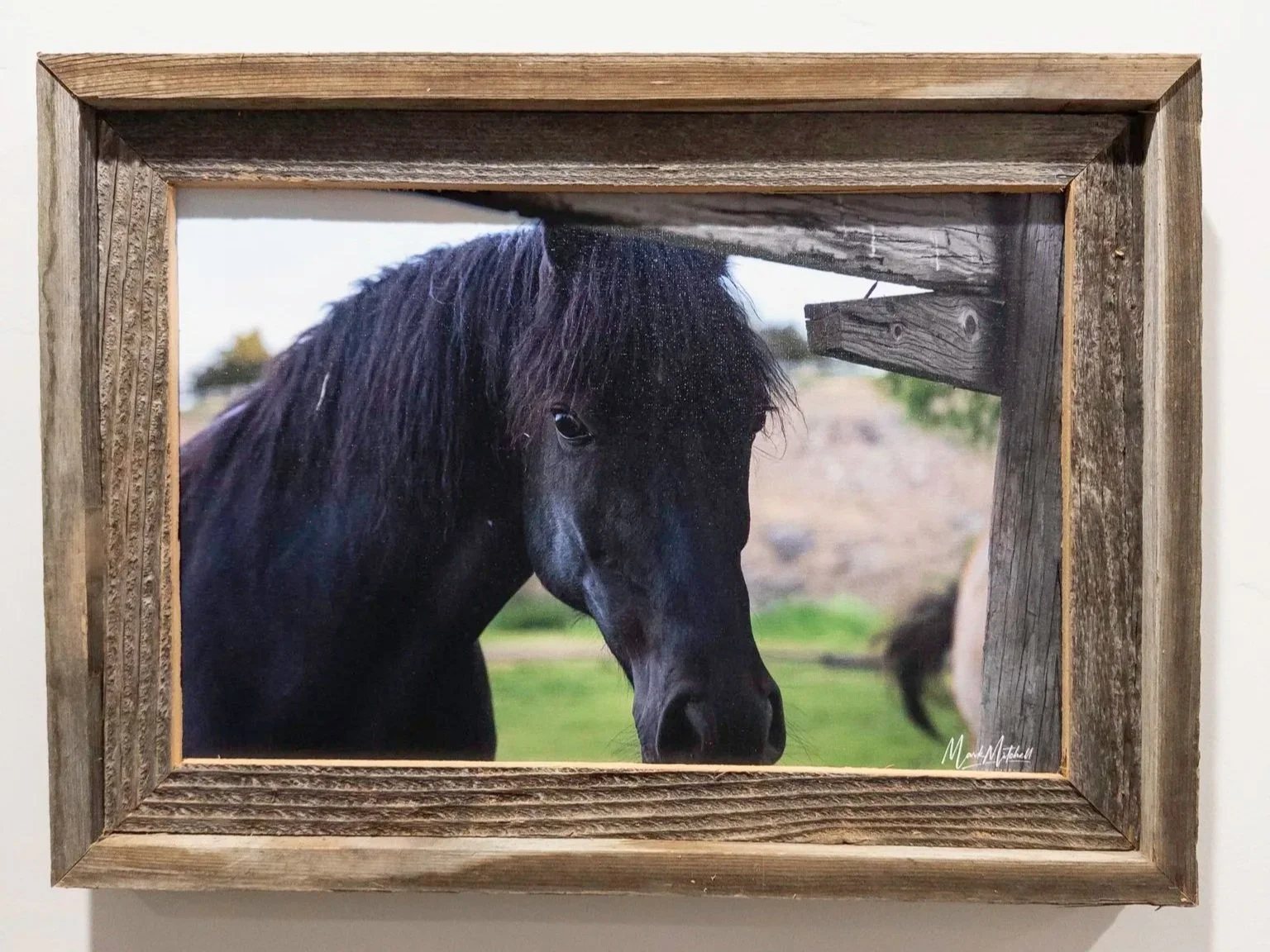 20251004-APC_2015.jpg (Copy)