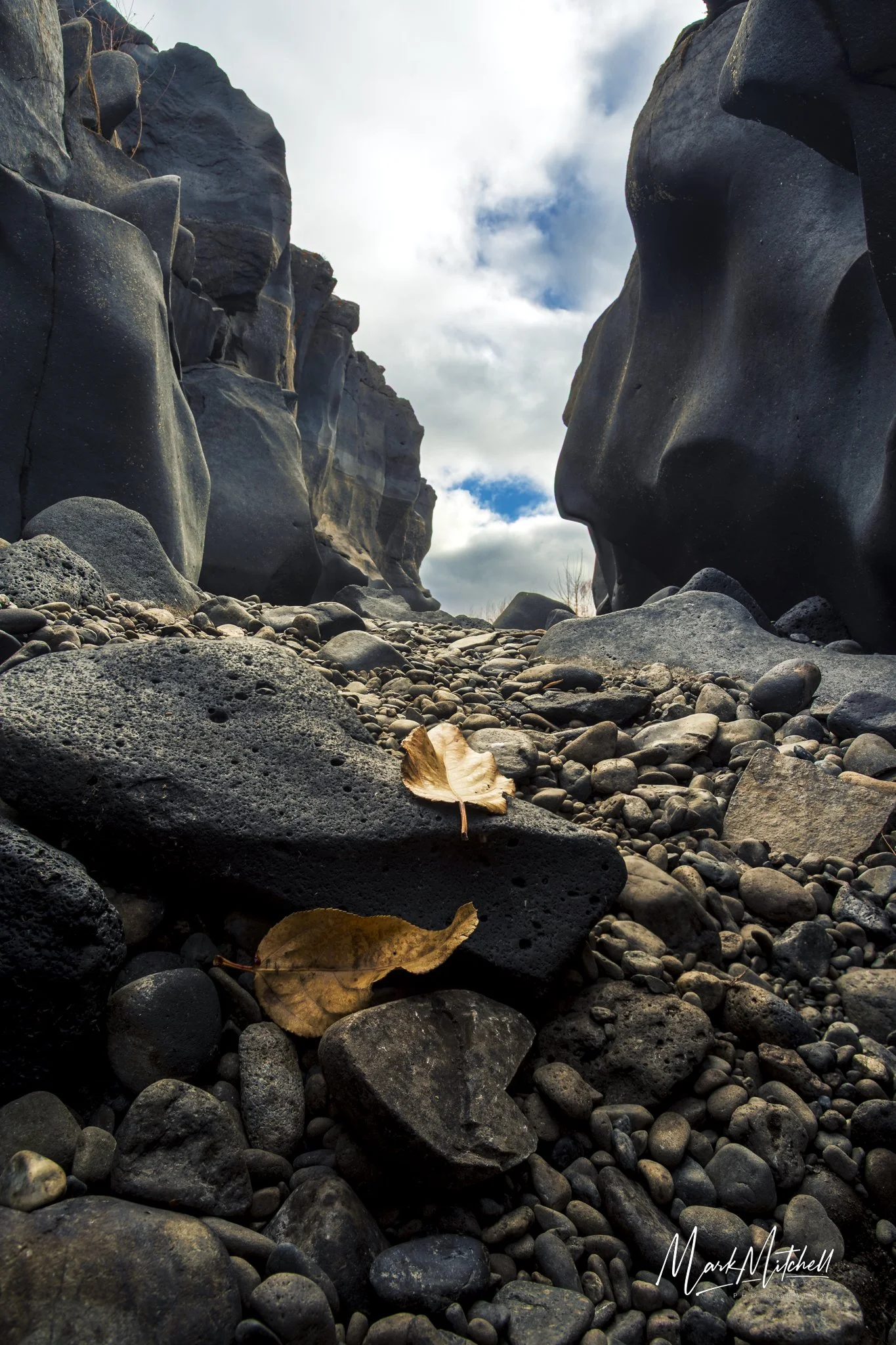Fall leaves at Black Magic Canyon | Southern Idaho Landscape Fine Art Print