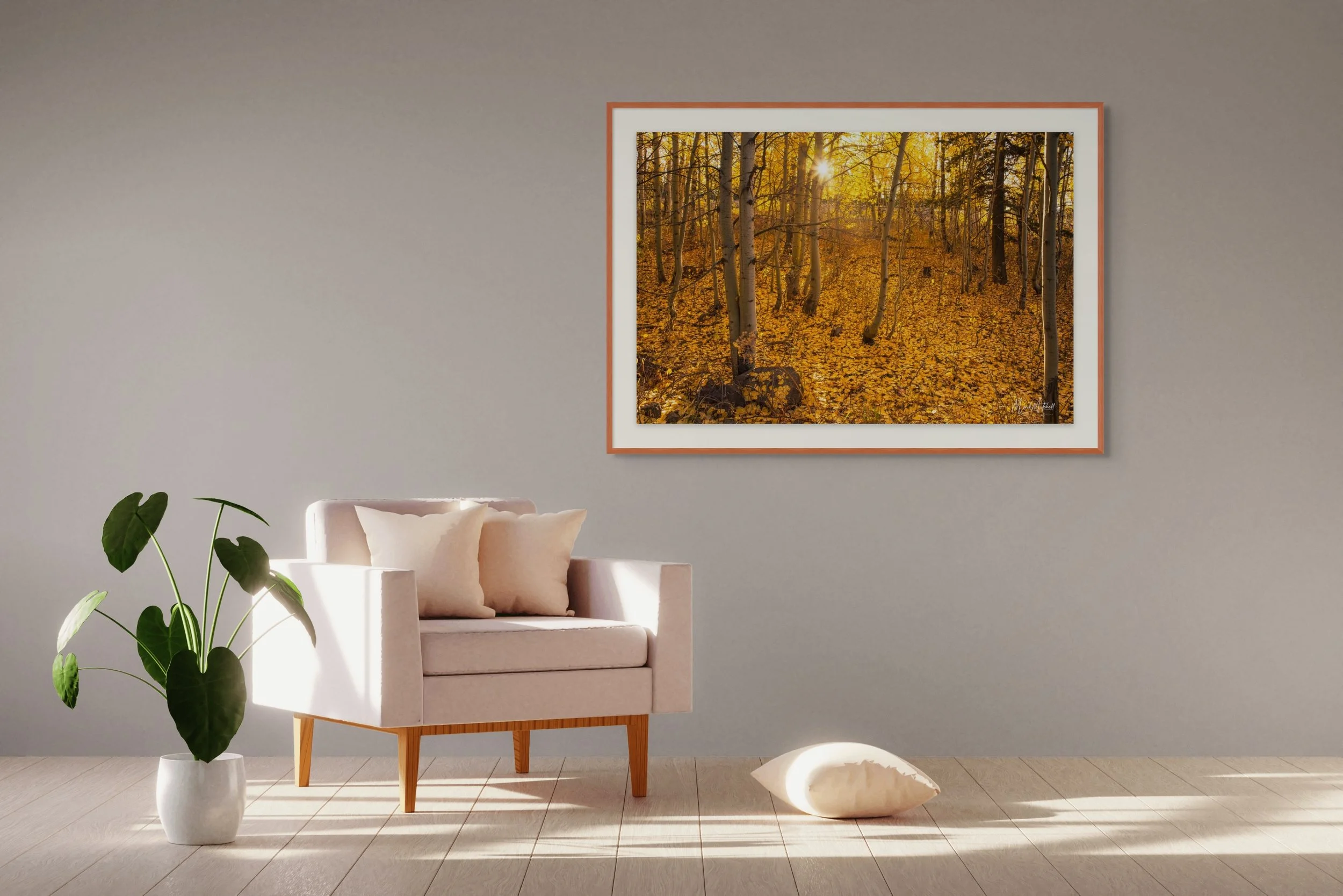 aspen grove sunrise-full (1).jpg