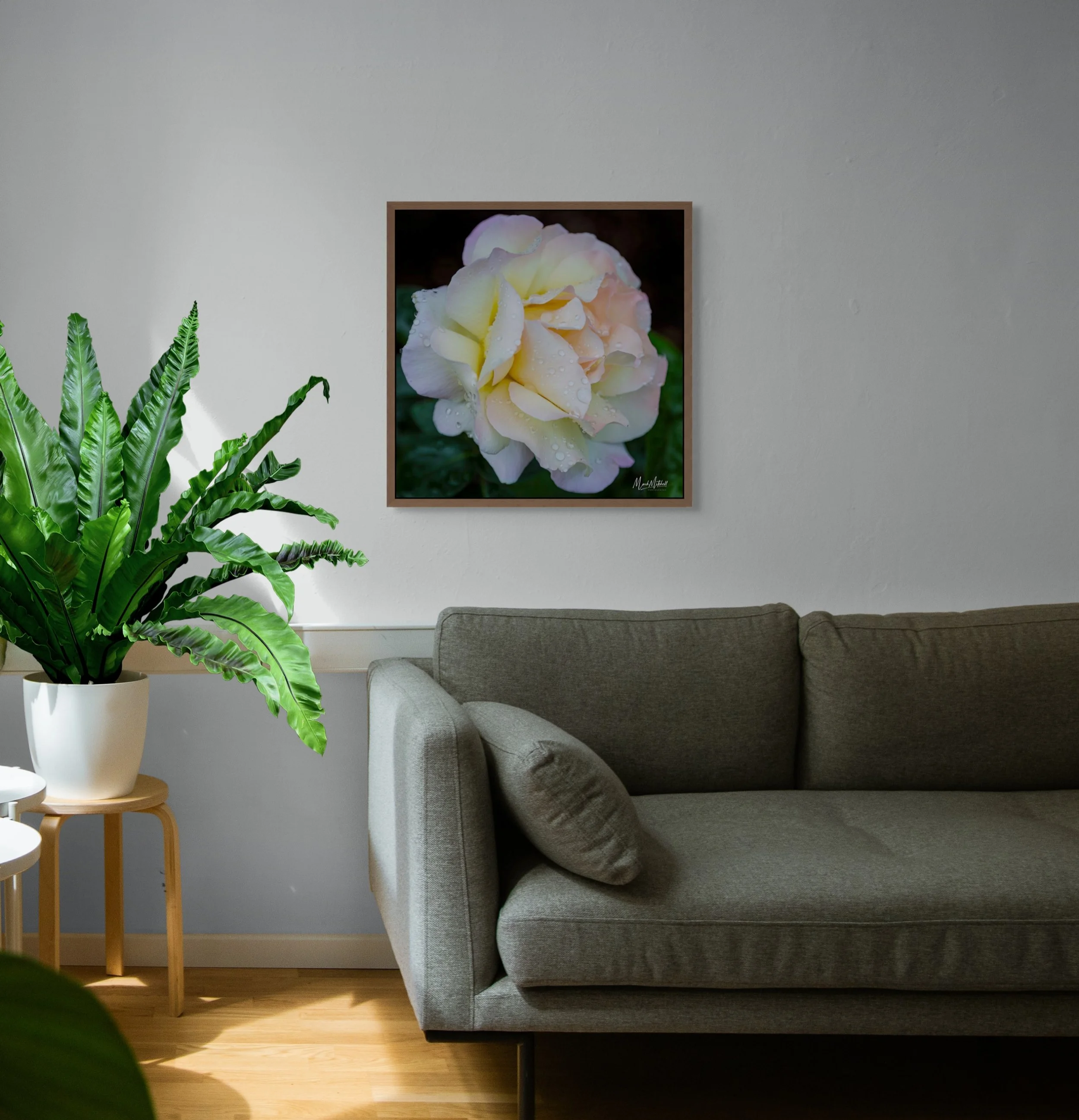 perfect petals-full (1).jpg