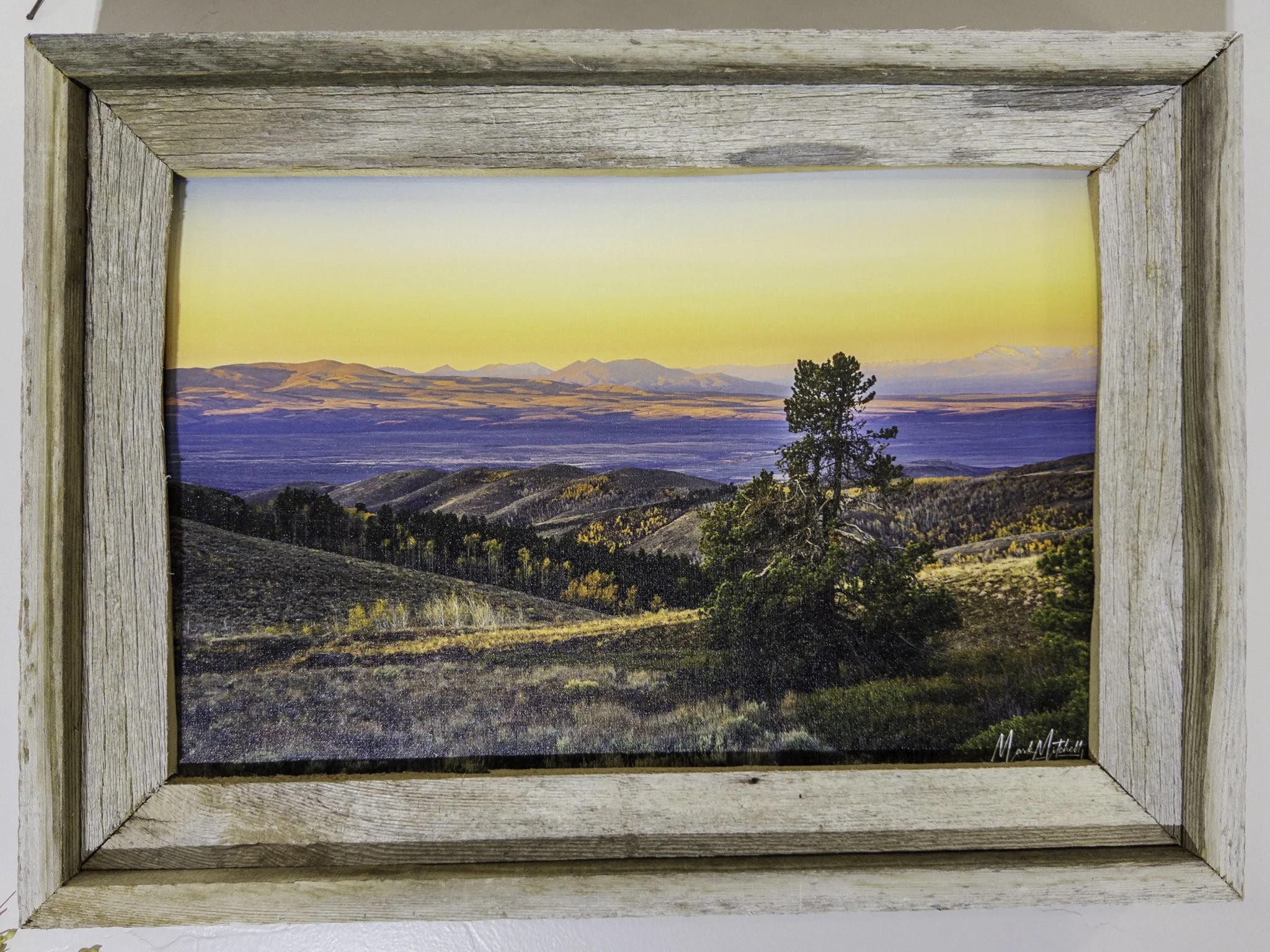 20251126-APC_2068-hdr.jpg (Copy)