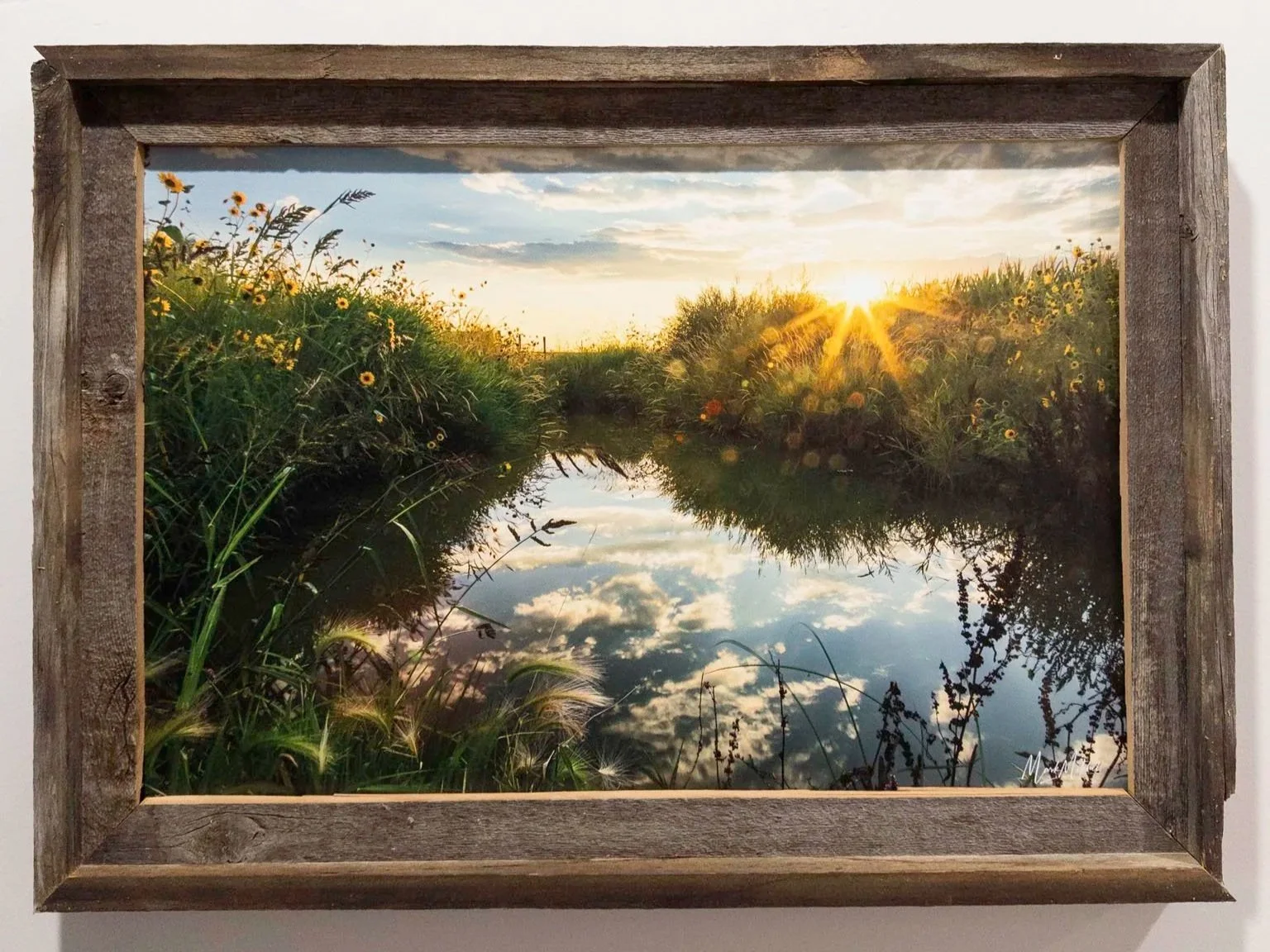 20250913-APC_1999.jpg (Copy)