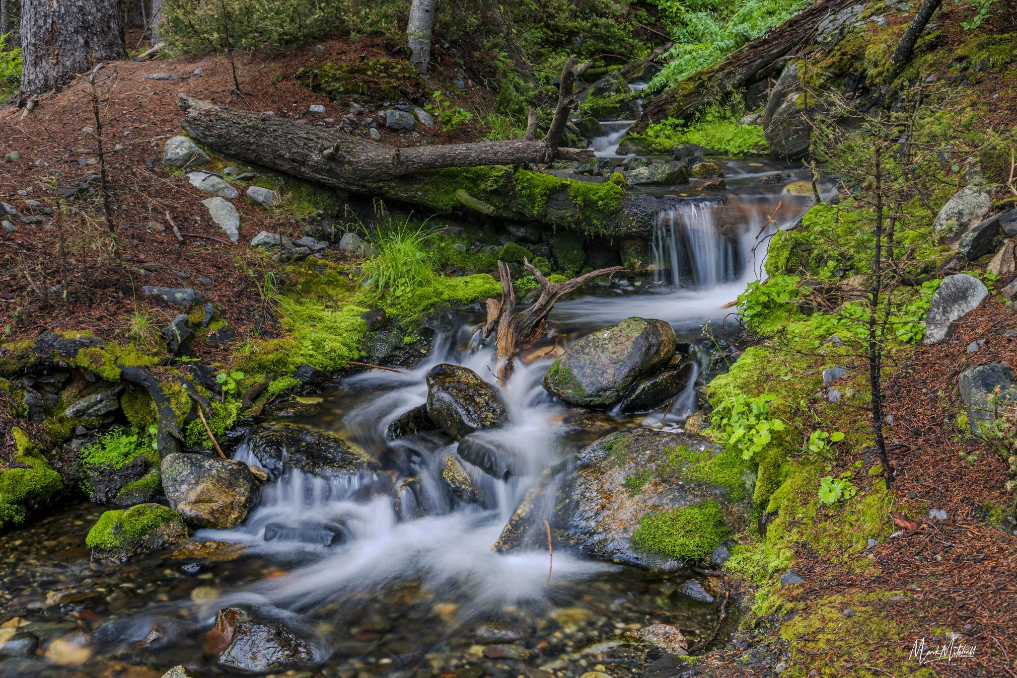 Kane Creek Waterfall