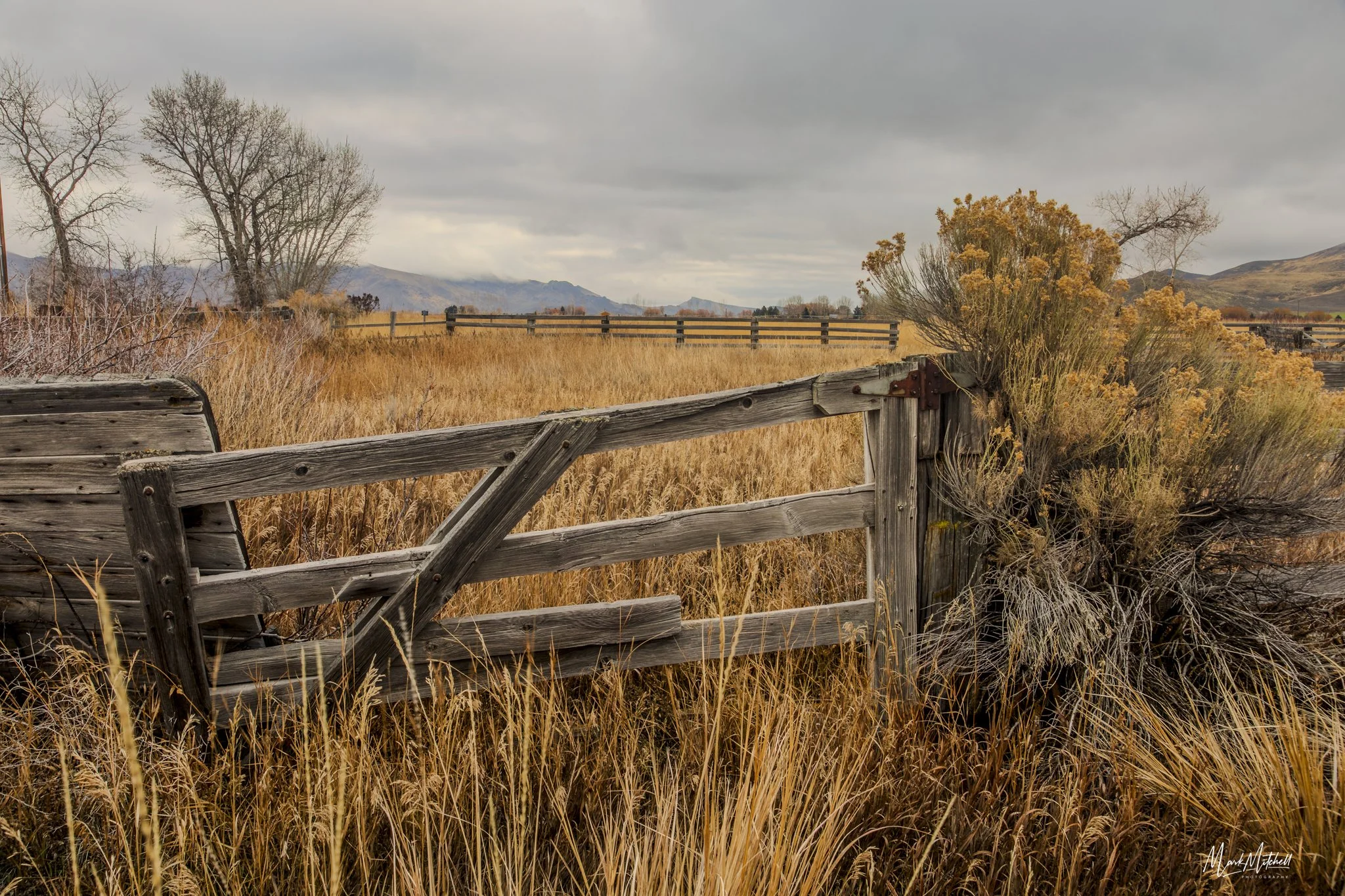 Rustic Wooden Fence | Silver Creek Preserve, Picabo, Idaho