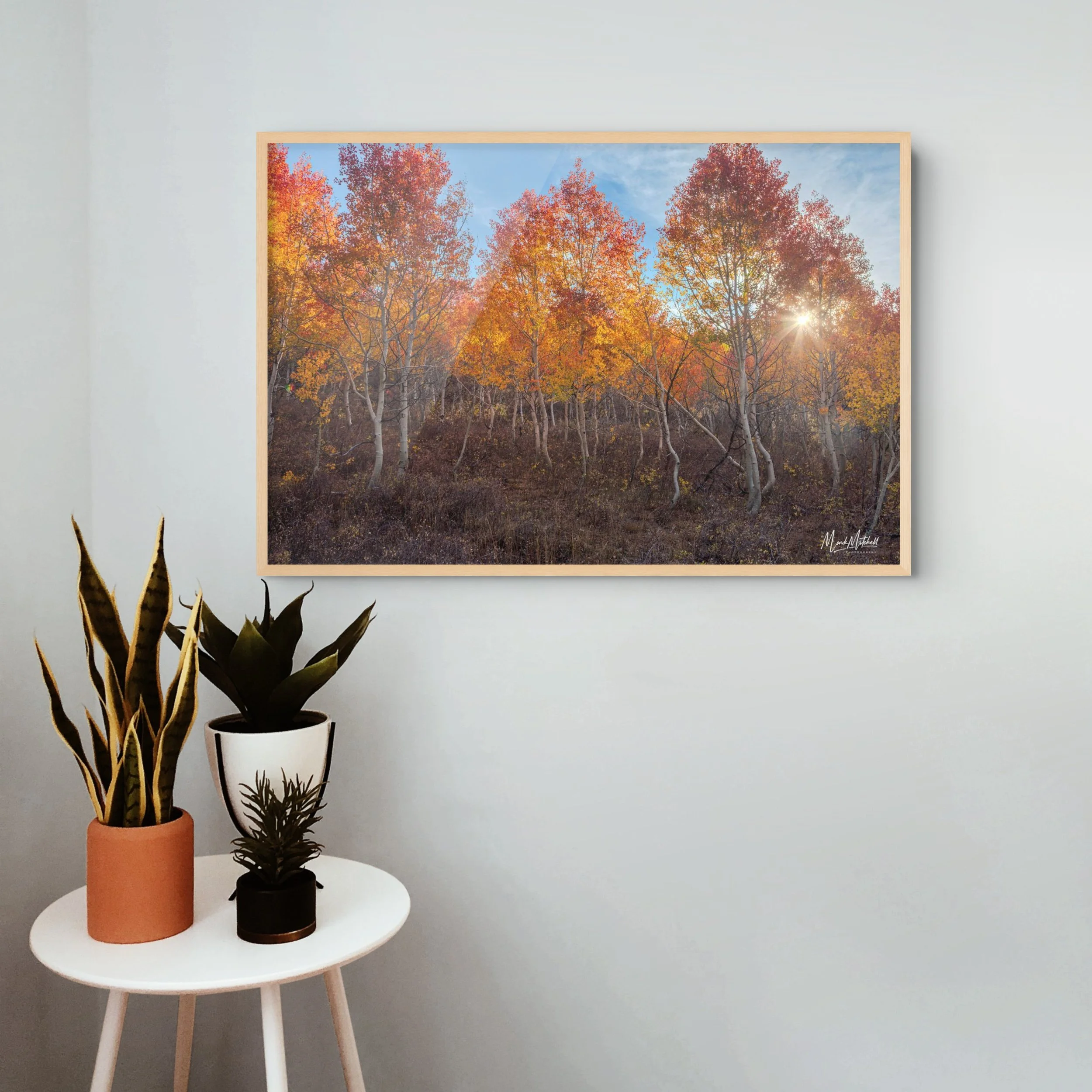 Sunrise in the South Hills_2-full.jpg