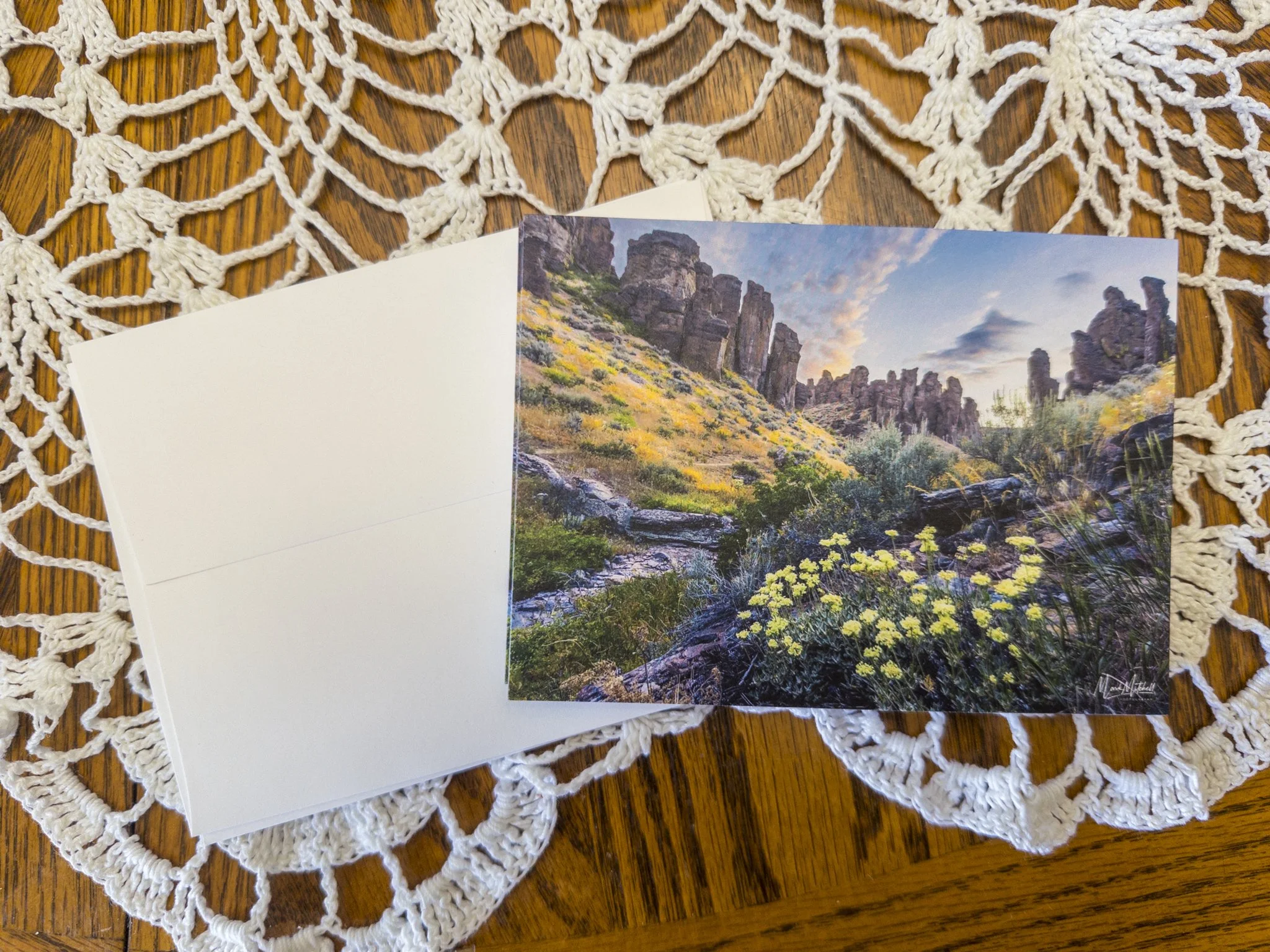 Photo Postcard: Wildflowers at Little City of Rocks