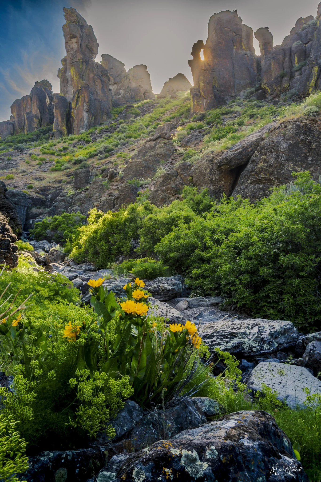 Sunny Spring at Little City of Rocks.jpg